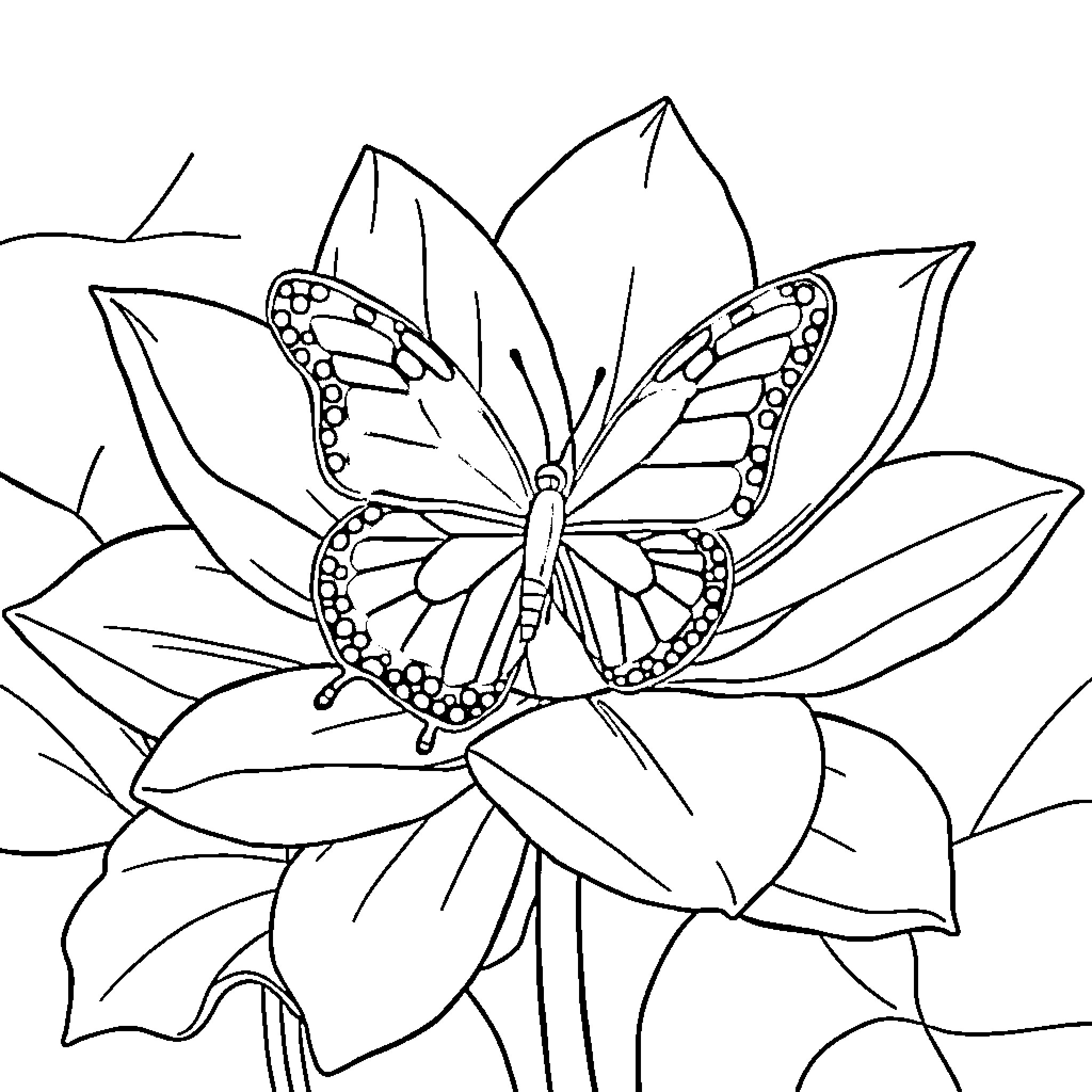 Butterfly resting on flower petals Coloring Page (free black-and-white line drawing printable PDF for all, from beginners to advanced learners, including children, teens, adults, and seniors)