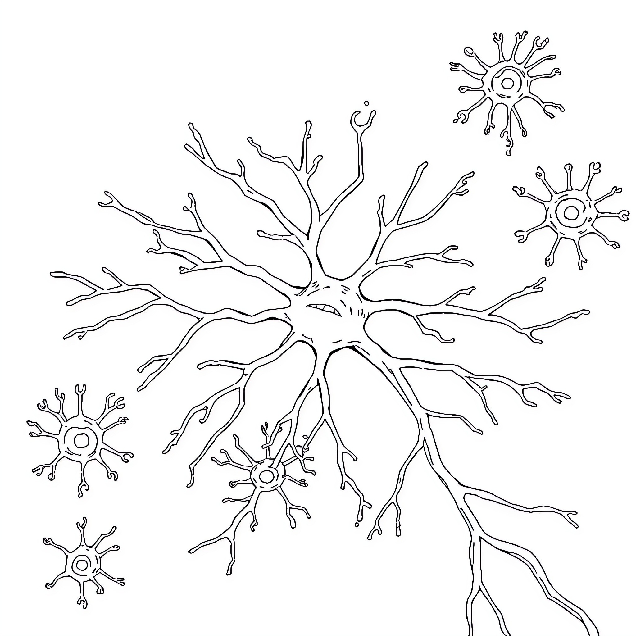 Neuron with Elaborate Branches and Nodes Coloring Page (free black-and-white line drawing printable PDF for all, from beginners to advanced learners, including children, teens, adults, and seniors)
