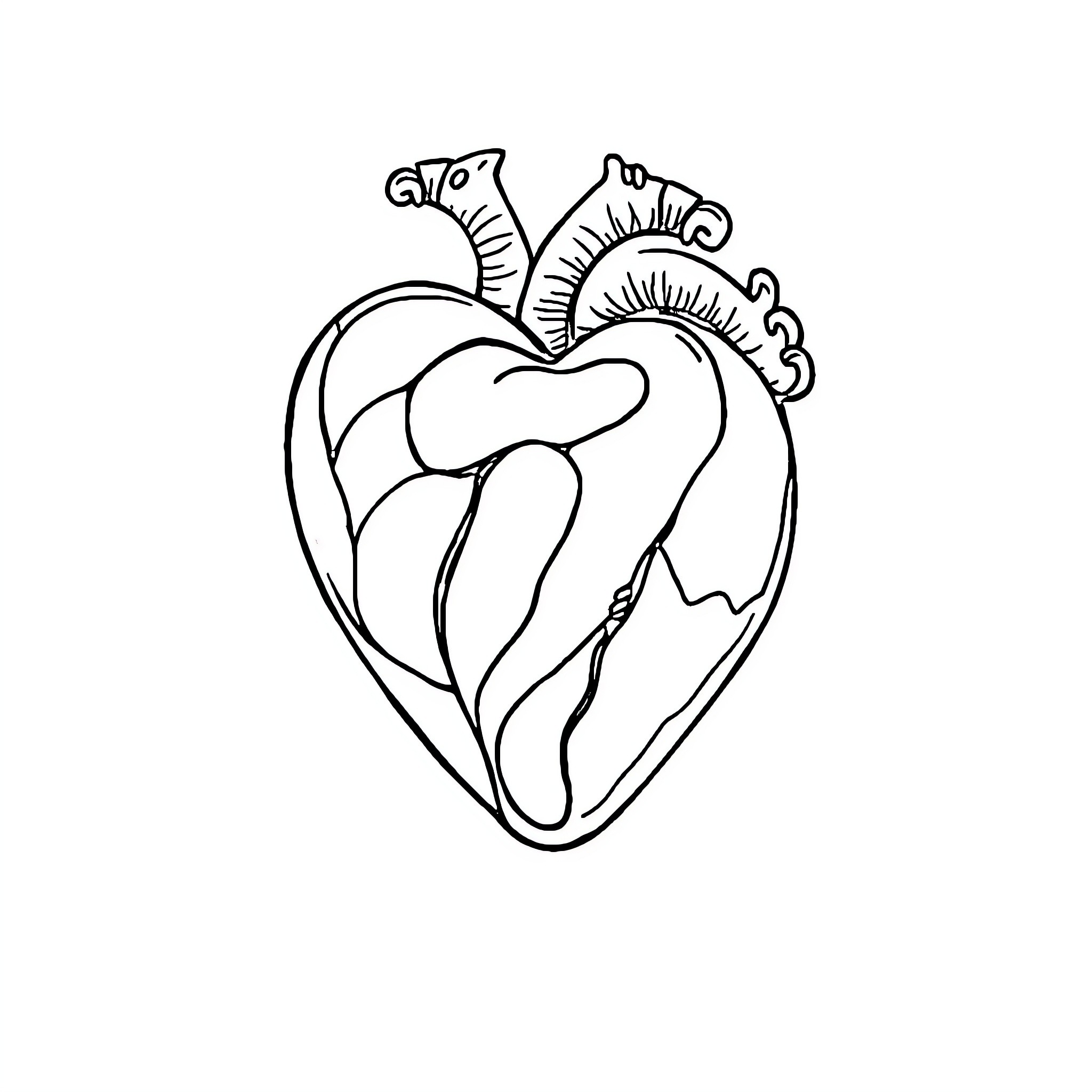 Heart-shaped anatomical illustration Coloring Page (free black-and-white line drawing printable PDF for all, from beginners to advanced learners, including children, teens, adults, and seniors)