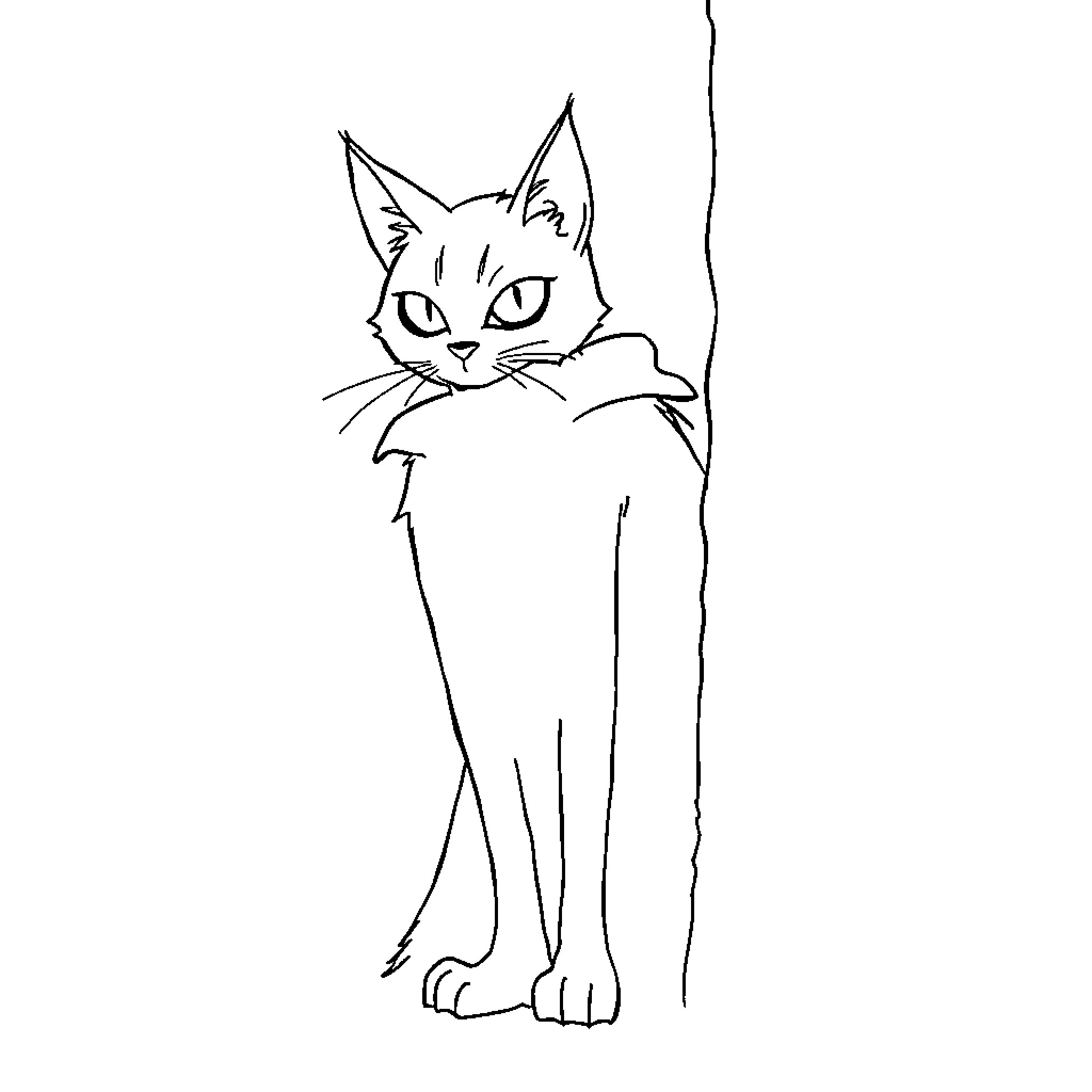 Katseye Curious Cat Peering Around Corner Coloring Page (free black-and-white line drawing printable PDF for all, from beginners to advanced learners, including children, teens, adults, and seniors)