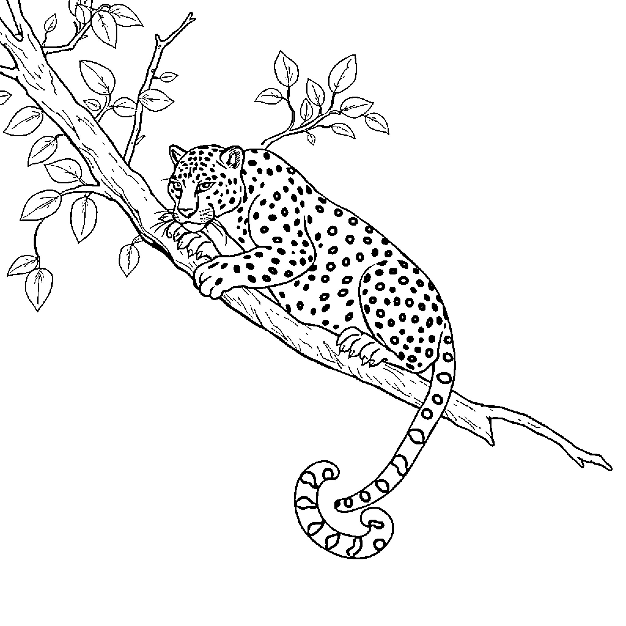 Panther resting on tree branch amid foliage Coloring Page (free black-and-white line drawing printable PDF for all, from beginners to advanced learners, including children, teens, adults, and seniors)