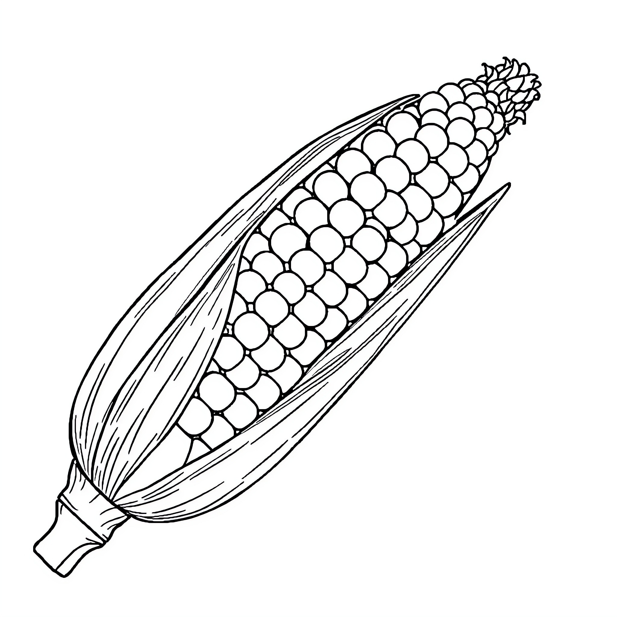 Corn on the cob with detailed pattern Coloring Page (free black-and-white line drawing printable PDF for all, from beginners to advanced learners, including children, teens, adults, and seniors)