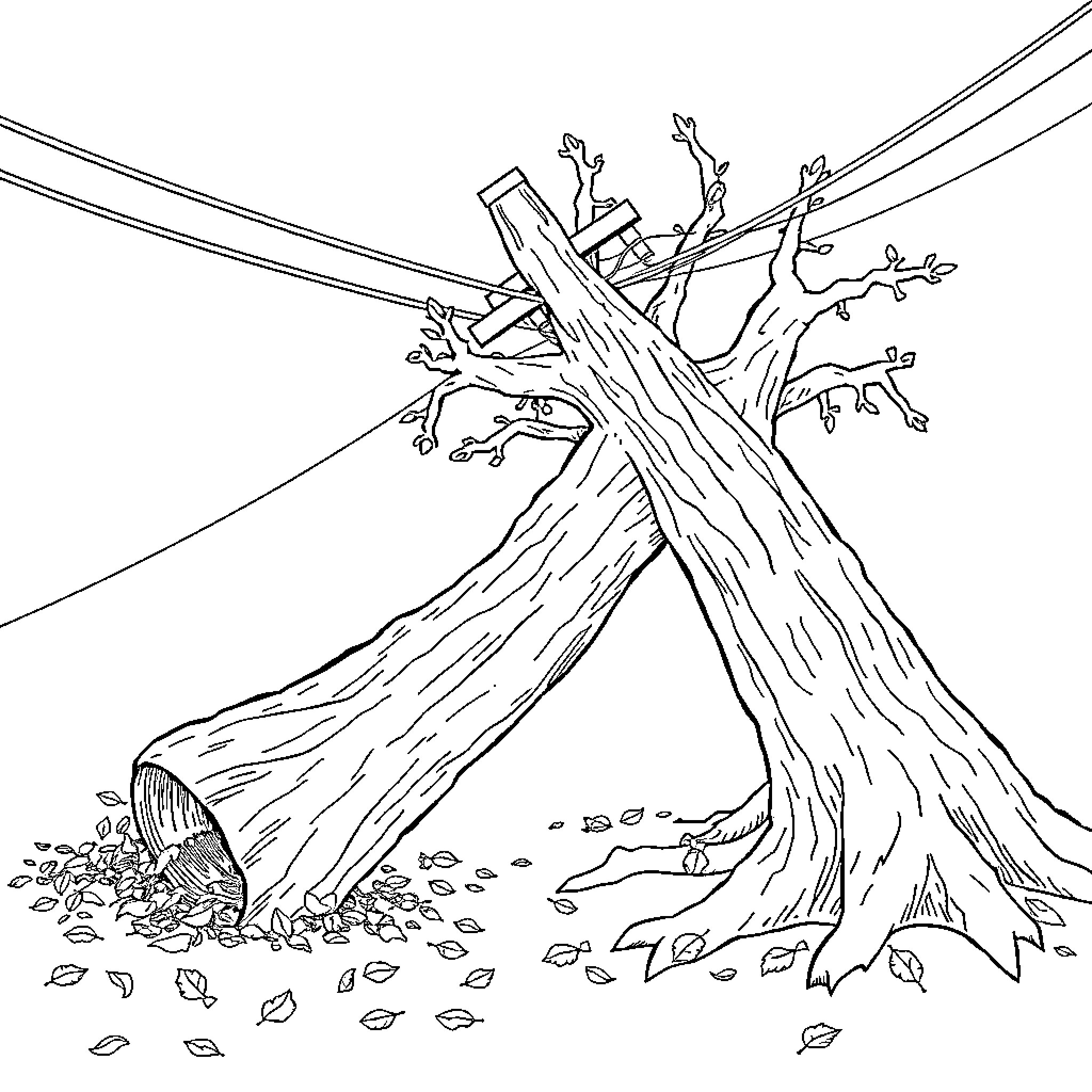 Power Line Damage with Fallen Tree Branches Coloring Page (free black-and-white line drawing printable PDF for all, from beginners to advanced learners, including children, teens, adults, and seniors)
