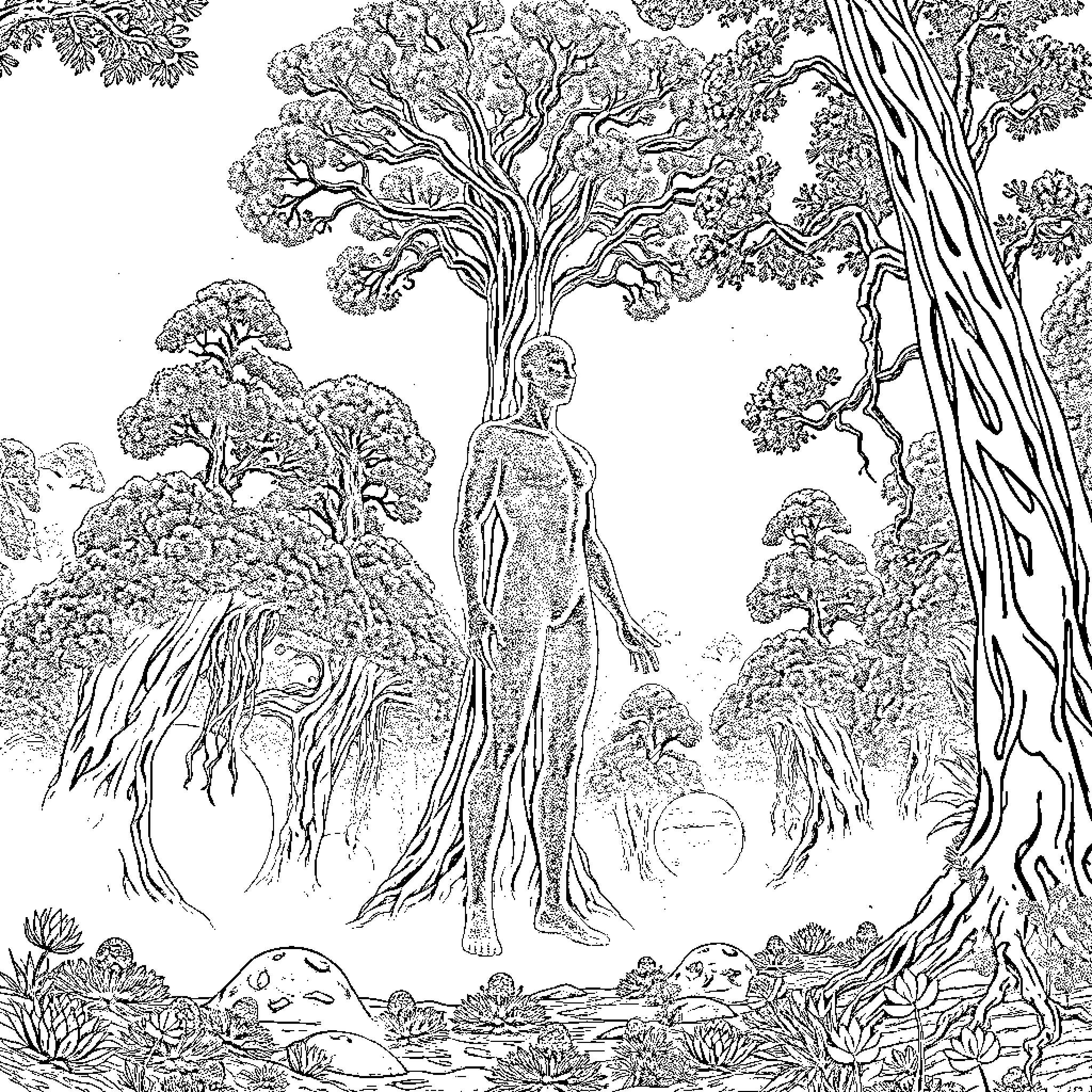Guardian of the Enchanted Forest Coloring Page (free black-and-white line drawing printable PDF for all, from beginners to advanced learners, including children, teens, adults, and seniors)