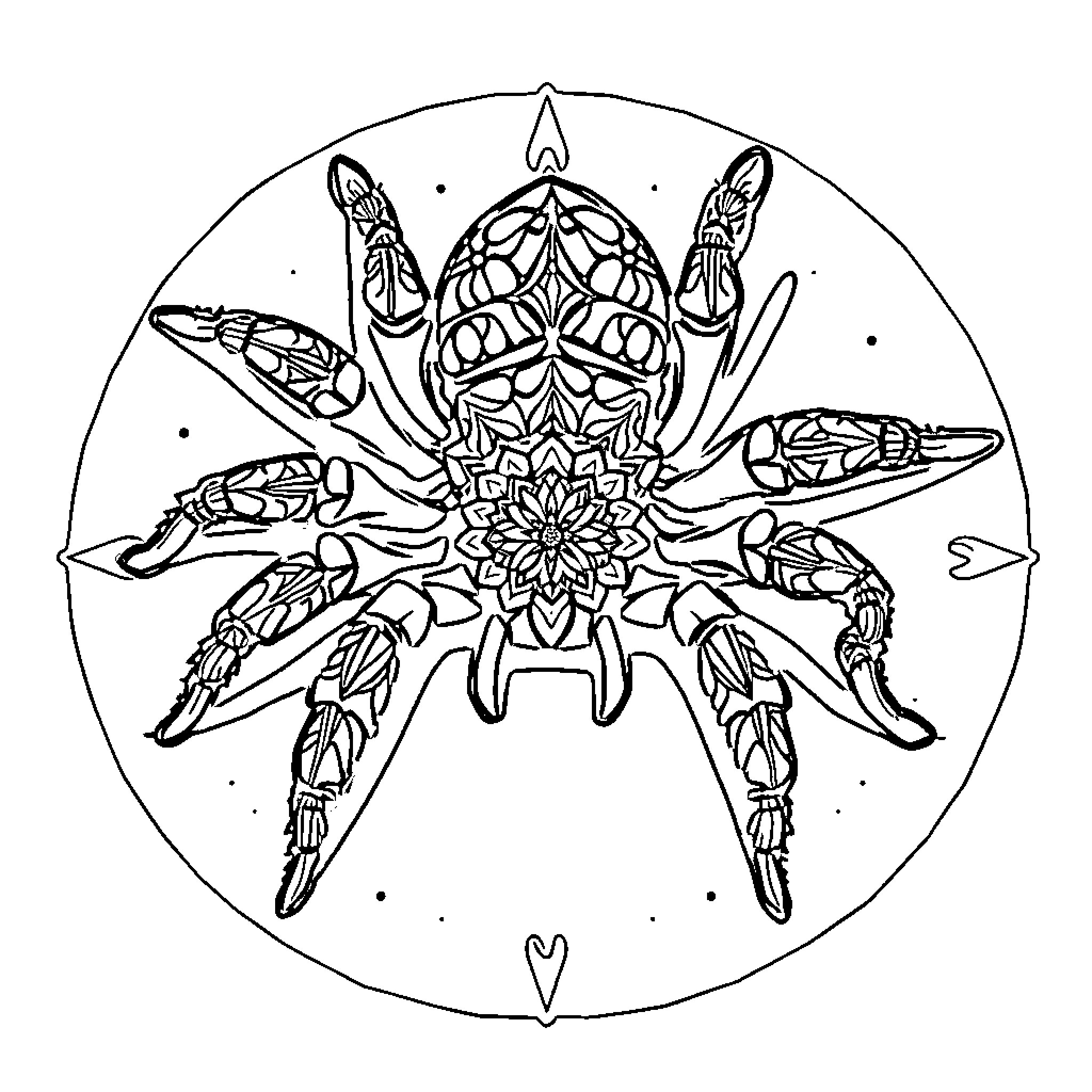 Tarantula with intricate mandala-like design Coloring Page (free black-and-white line drawing printable PDF for all, from beginners to advanced learners, including children, teens, adults, and seniors)