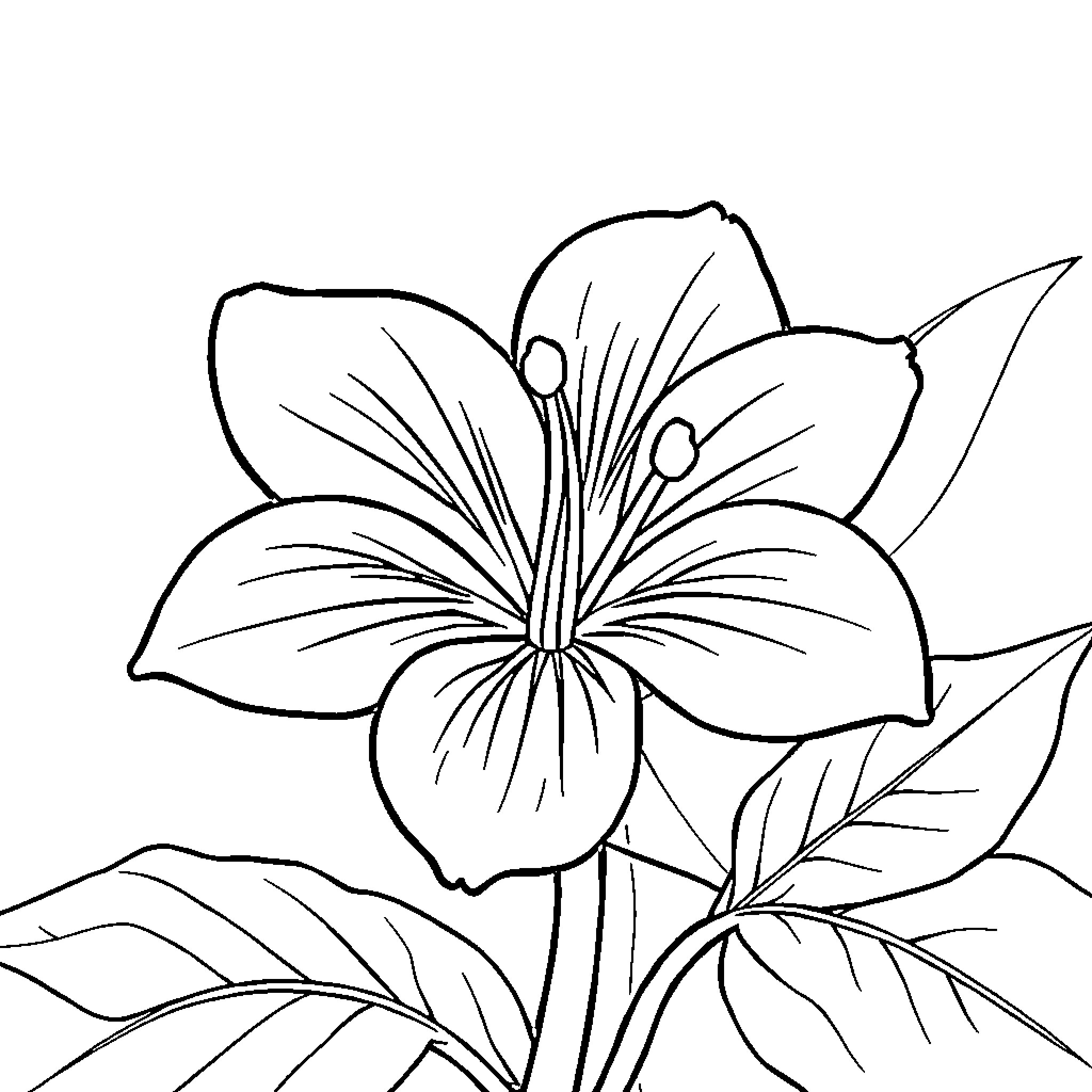 Letter Depicting a Floral Arrangement Coloring Page (free black-and-white line drawing printable PDF for all, from beginners to advanced learners, including children, teens, adults, and seniors)