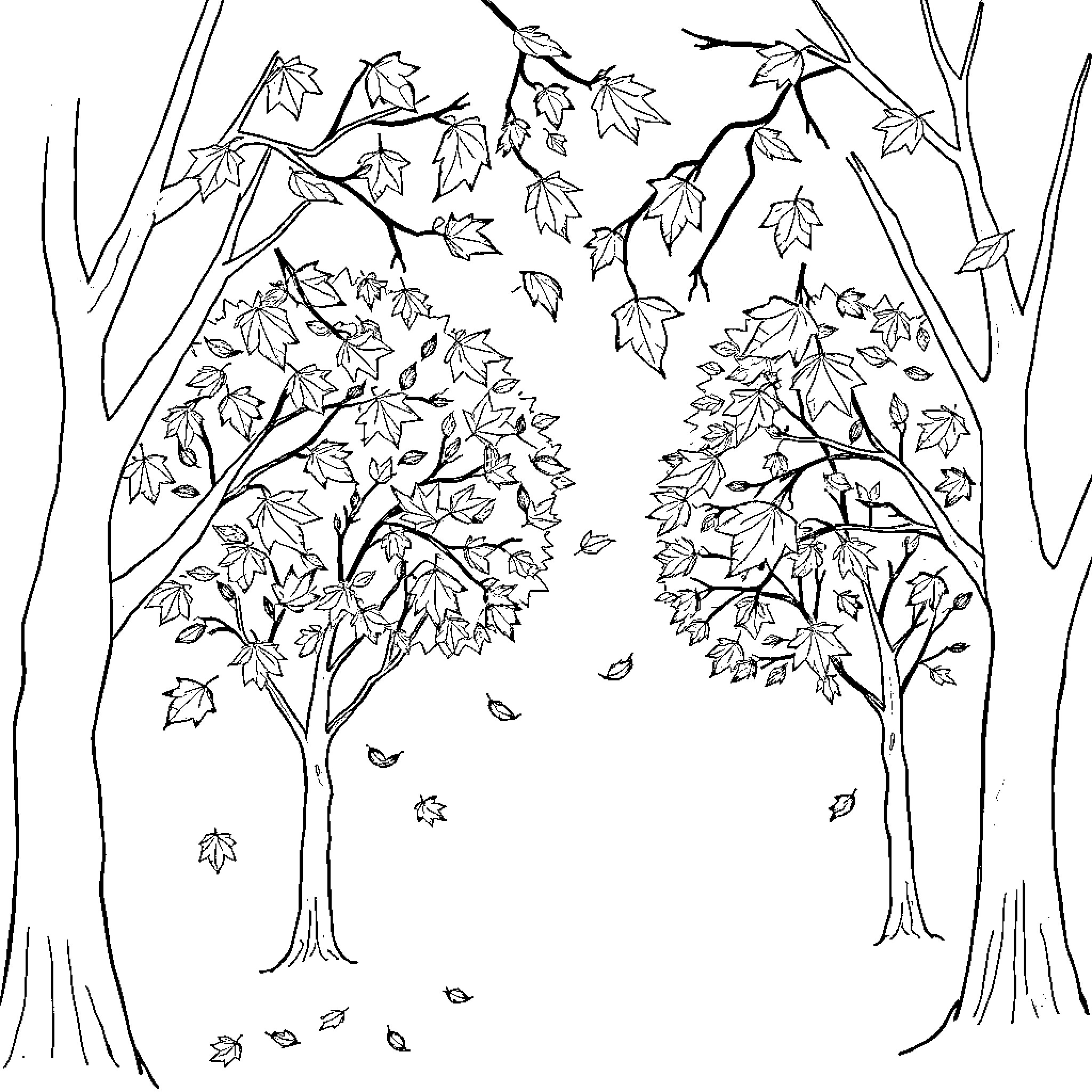 Leaf Tornado in Autumn Forest Coloring Page (free black-and-white line drawing printable PDF for all, from beginners to advanced learners, including children, teens, adults, and seniors)