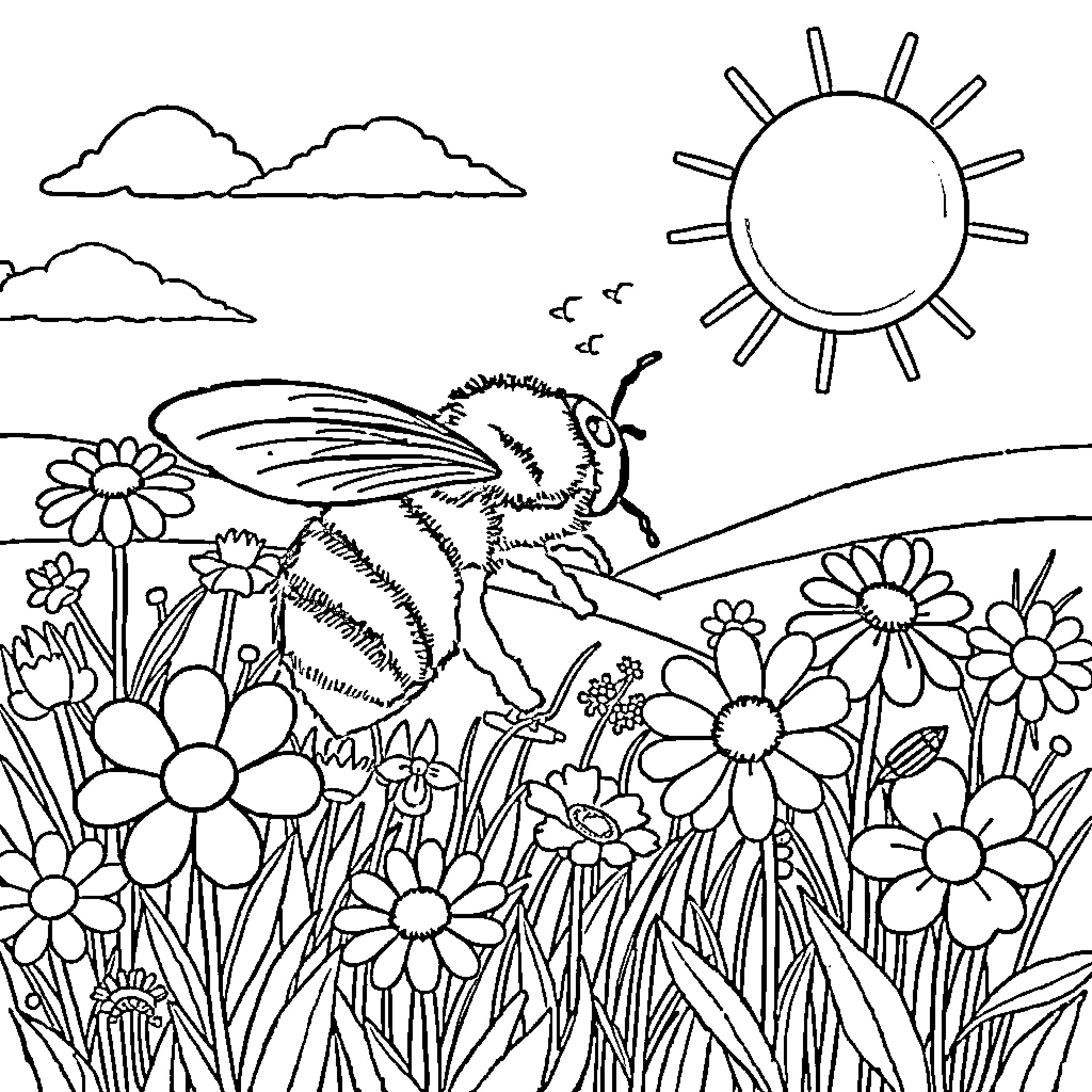 Bee among the flowers in the sun Coloring Page (free black-and-white line drawing printable PDF for all, from beginners to advanced learners, including children, teens, adults, and seniors)