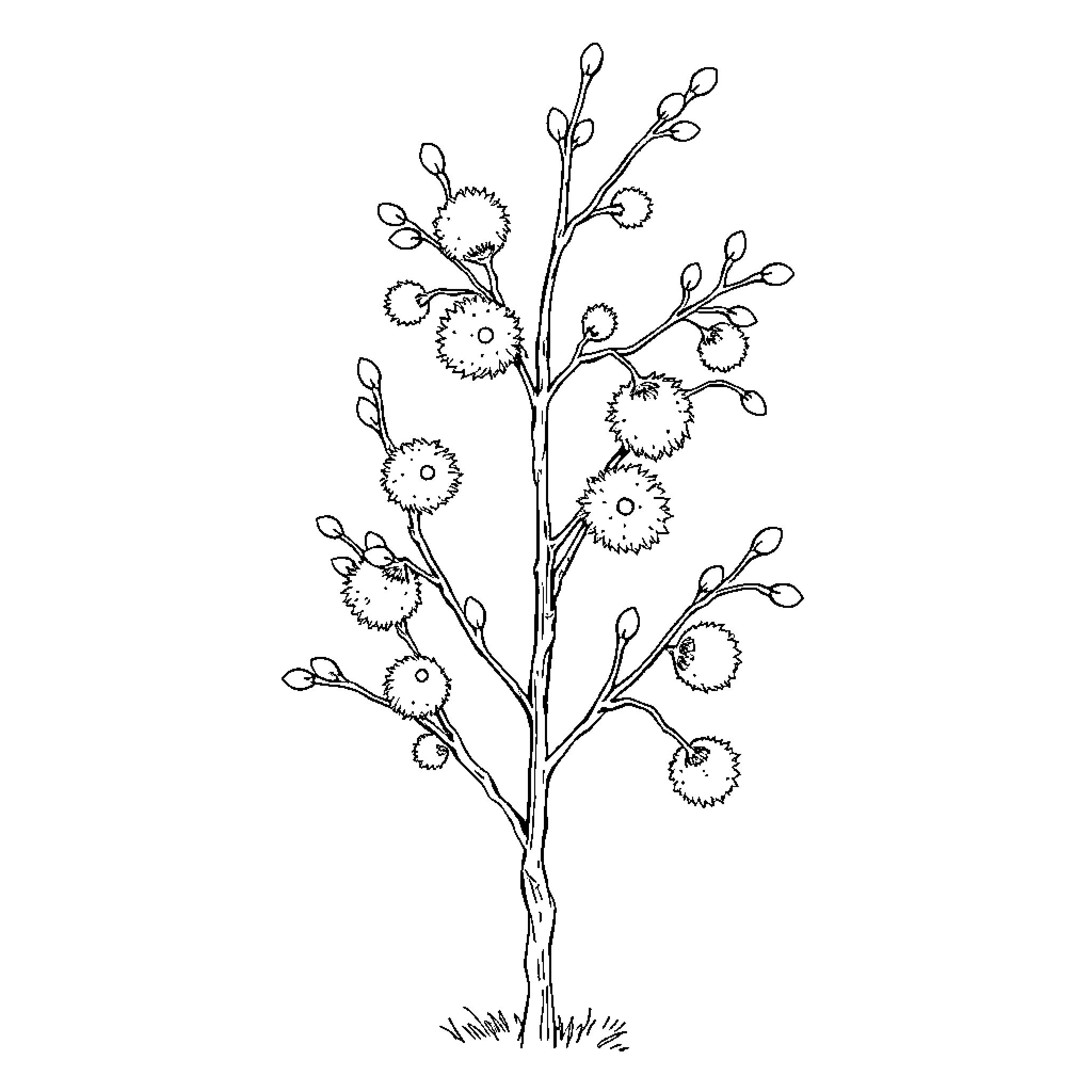 Willow Tree with Blooming Flowers Coloring Page (free black-and-white line drawing printable PDF for all, from beginners to advanced learners, including children, teens, adults, and seniors)