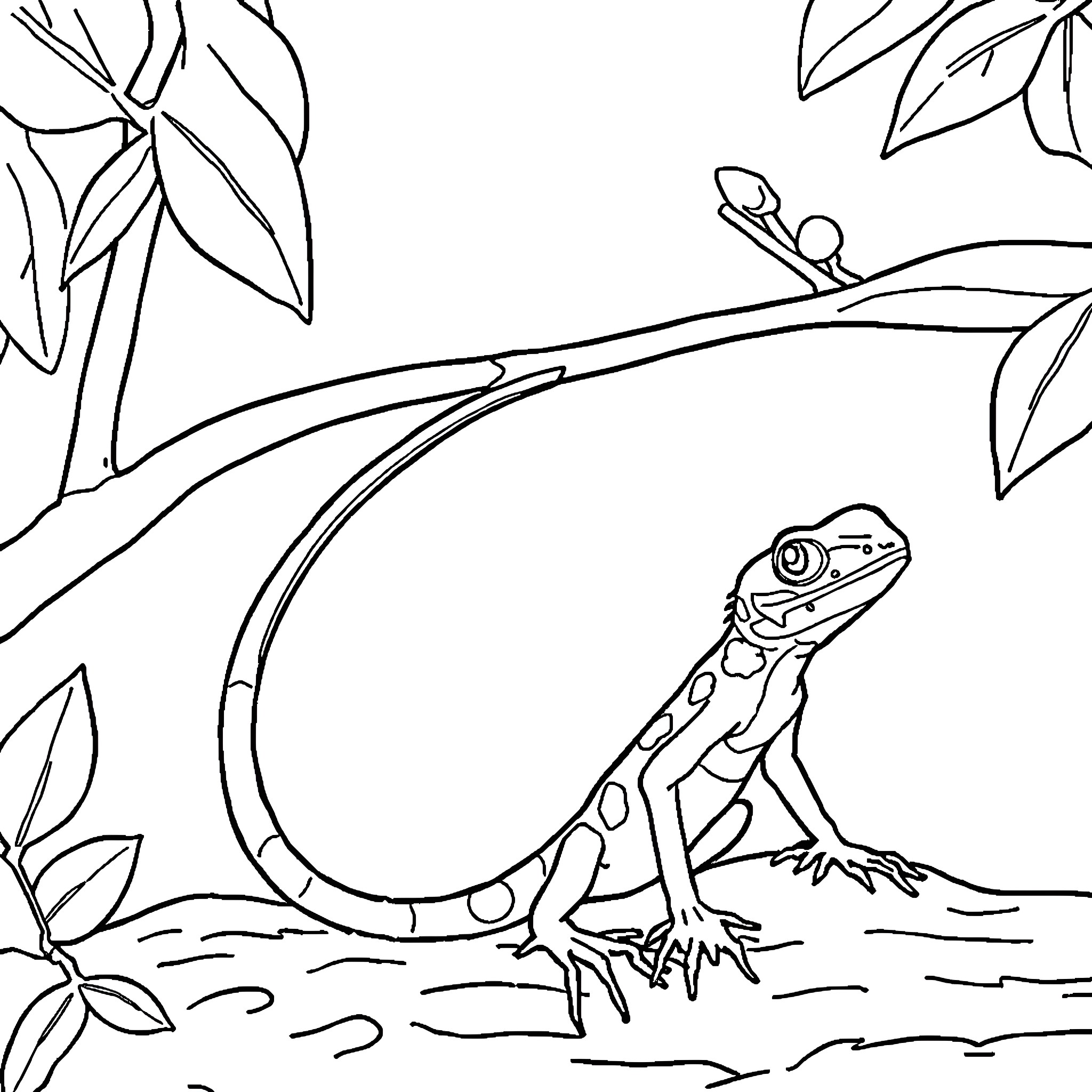 Anole exploring the lush vegetation Coloring Page (free black-and-white line drawing printable PDF for all, from beginners to advanced learners, including children, teens, adults, and seniors)