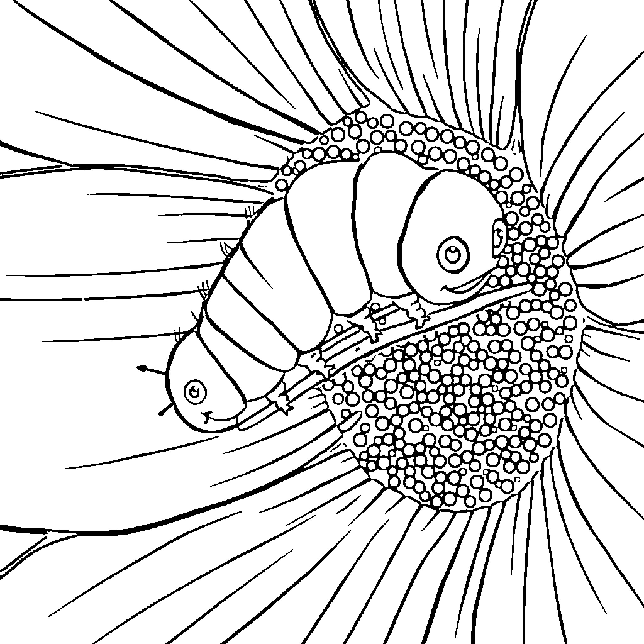 Caterpillar-like fish with intricate patterns Coloring Page (free black-and-white line drawing printable PDF for all, from beginners to advanced learners, including children, teens, adults, and seniors)