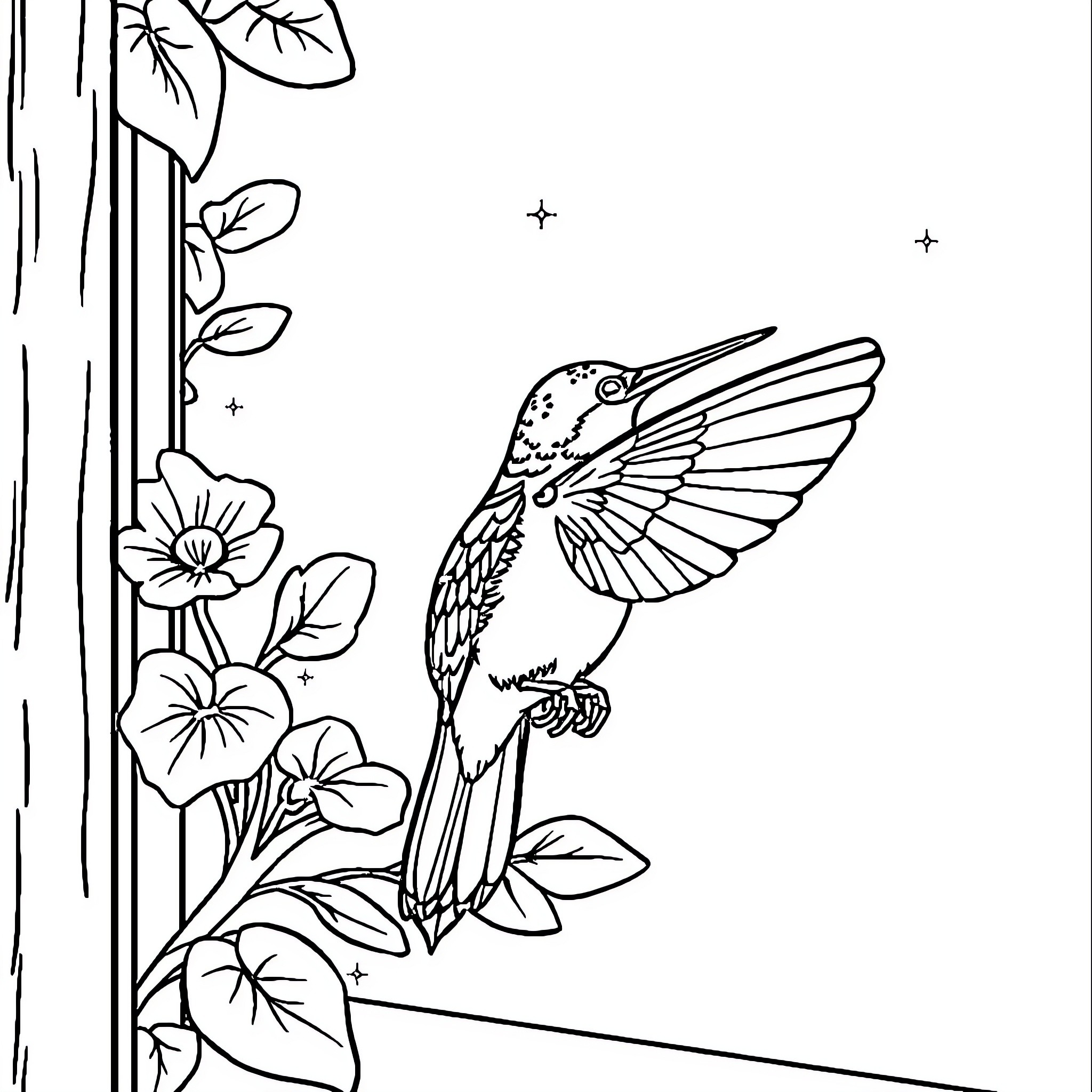 Colibri hovering near floral foliage Coloring Page (free black-and-white line drawing printable PDF for all, from beginners to advanced learners, including children, teens, adults, and seniors)