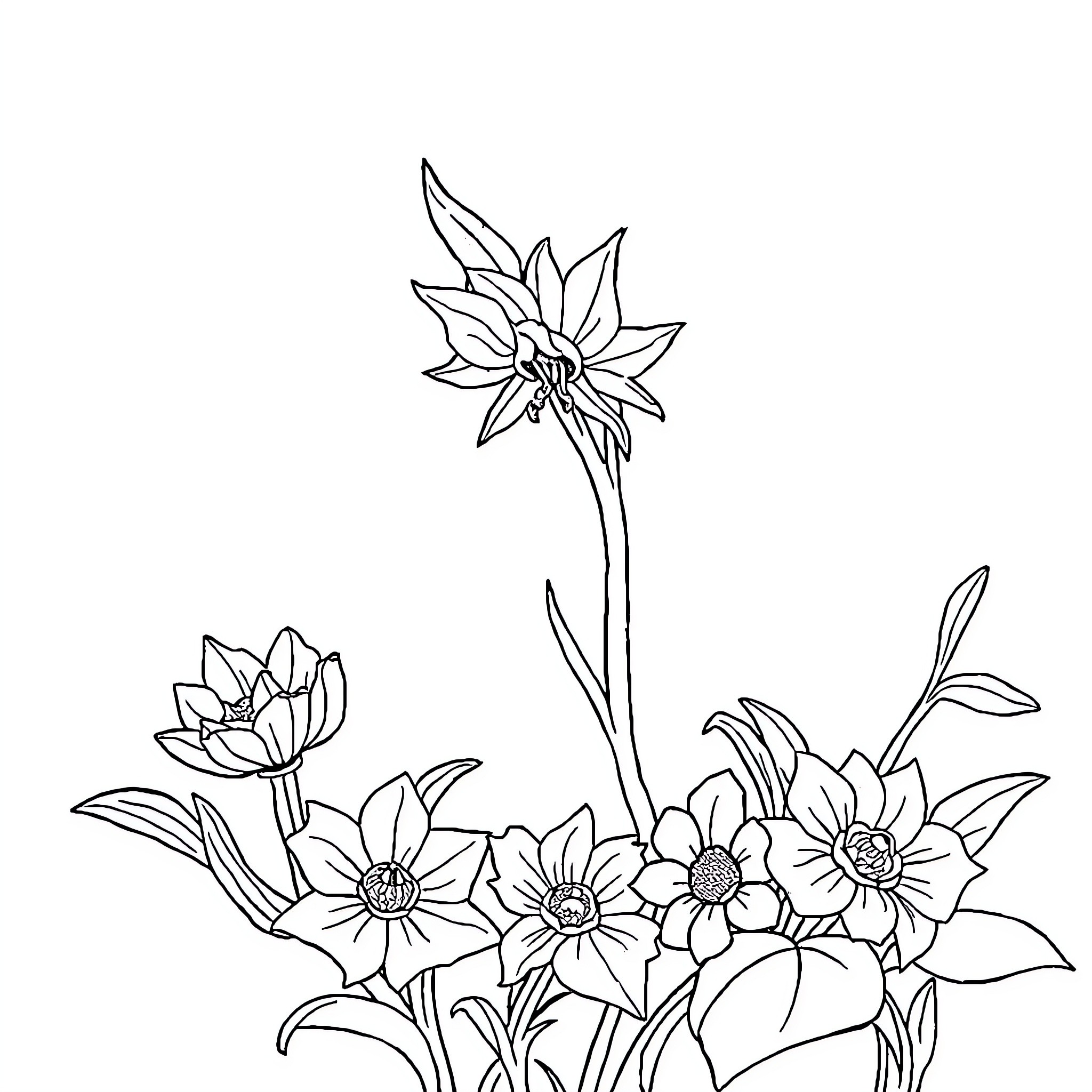 Book of Flowers in Black and White Coloring Page (free black-and-white line drawing printable PDF for all, from beginners to advanced learners, including children, teens, adults, and seniors)