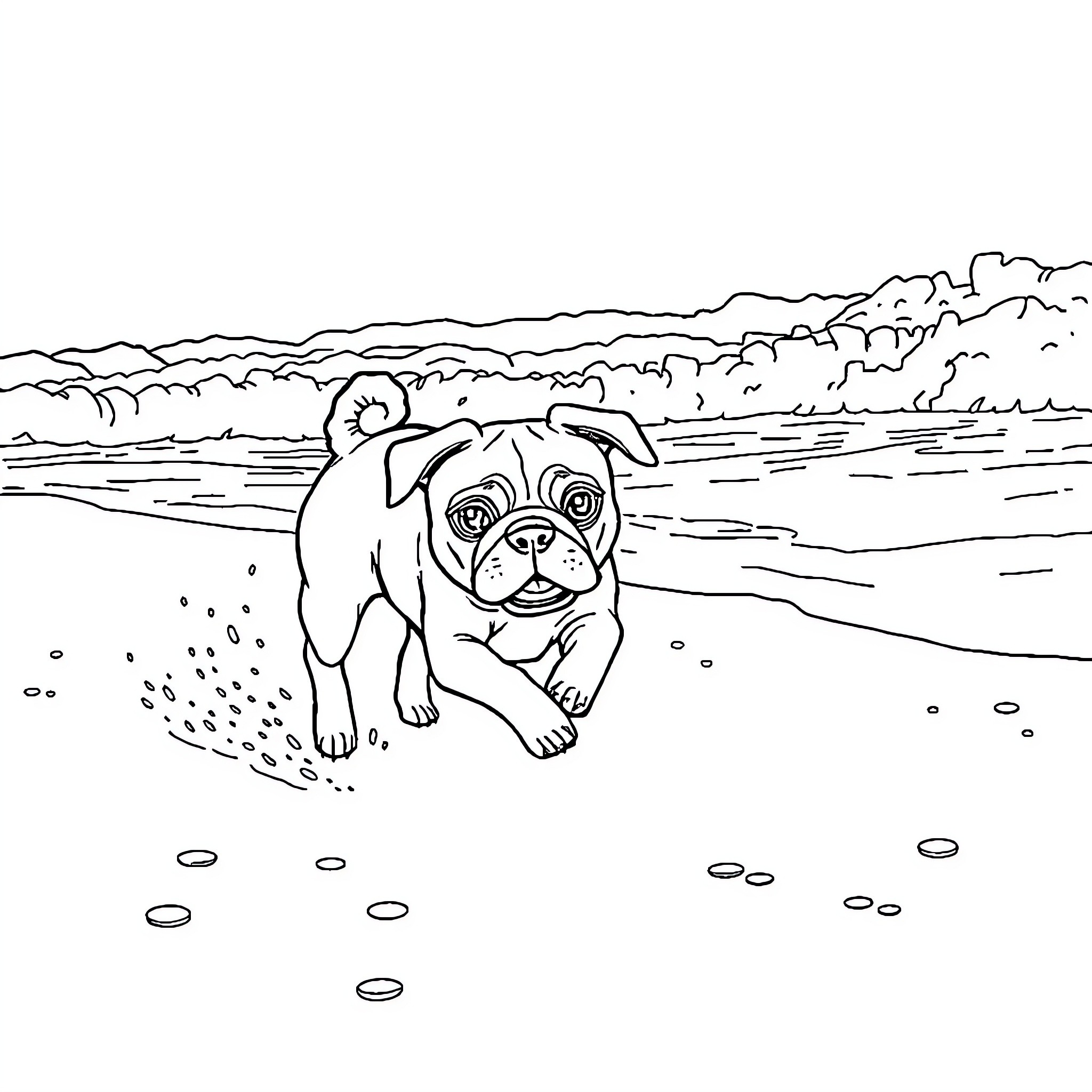 Pug frolicking joyfully on the beach Coloring Page (free black-and-white line drawing printable PDF for all, from beginners to advanced learners, including children, teens, adults, and seniors)