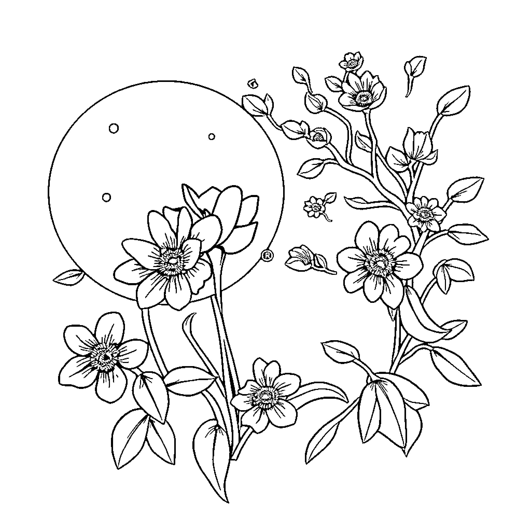 Child's Whimsical Floral Drawing Coloring Page (free black-and-white line drawing printable PDF for all, from beginners to advanced learners, including children, teens, adults, and seniors)