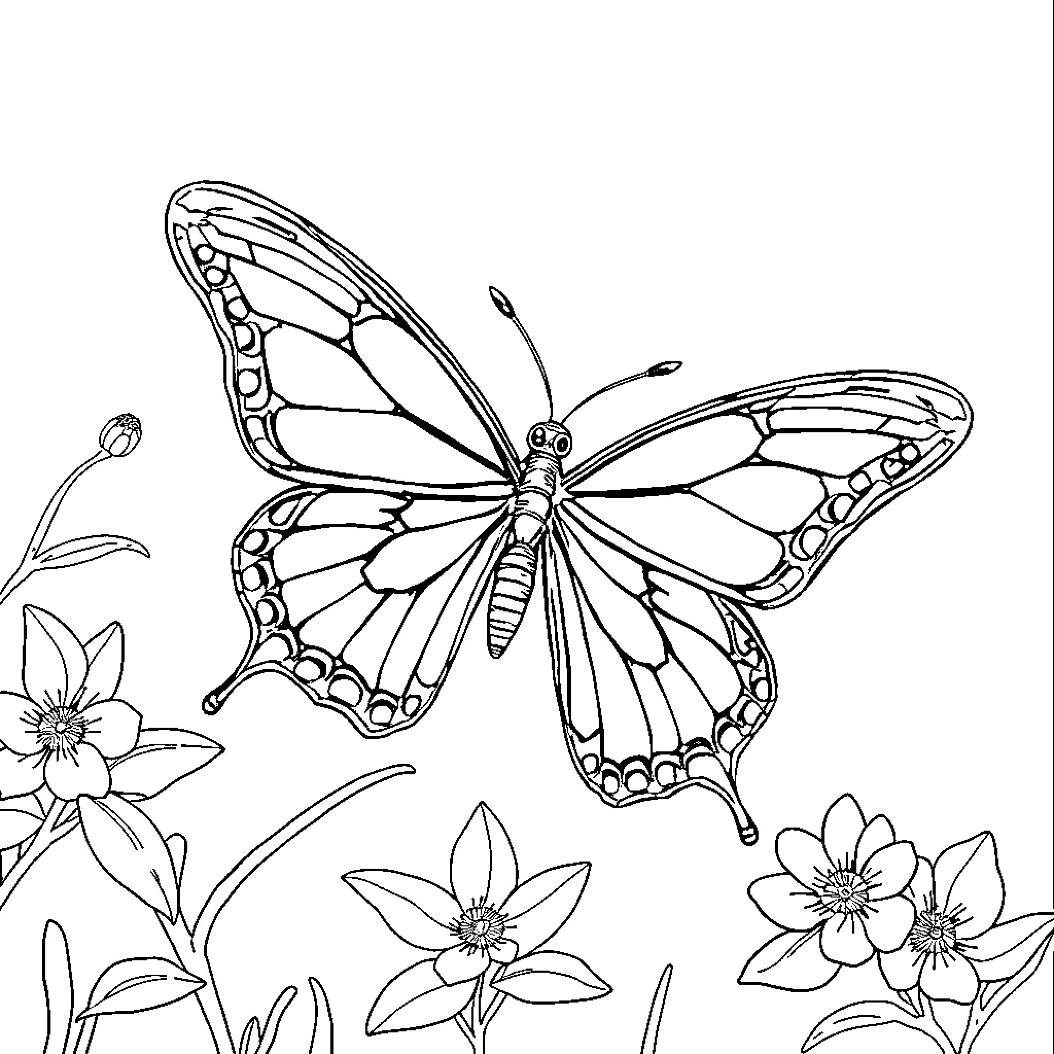 Butterfly flying amidst spring flowers Coloring Page (free black-and-white line drawing printable PDF for all, from beginners to advanced learners, including children, teens, adults, and seniors)