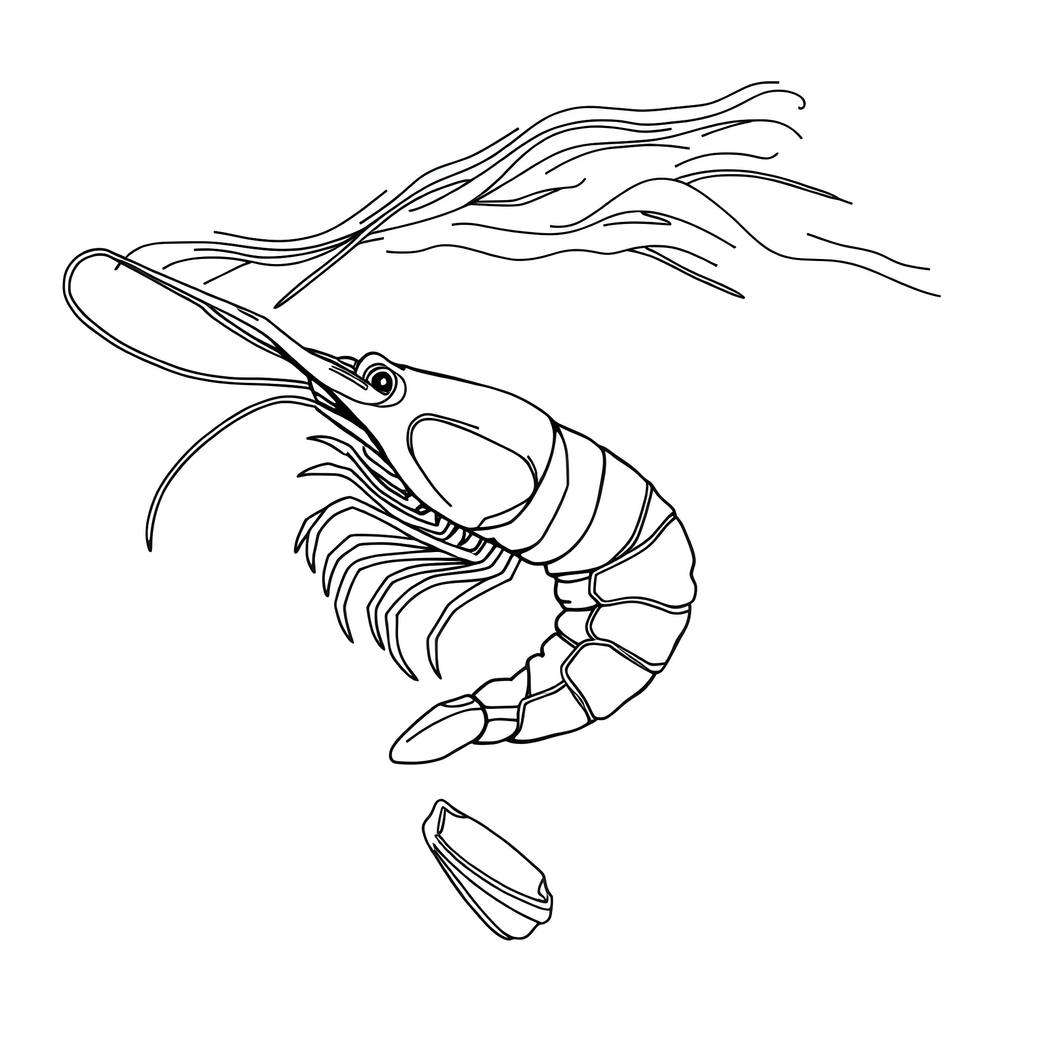 Shrimp swimming in the deep ocean Coloring Page (free black-and-white line drawing printable PDF for all, from beginners to advanced learners, including children, teens, adults, and seniors)