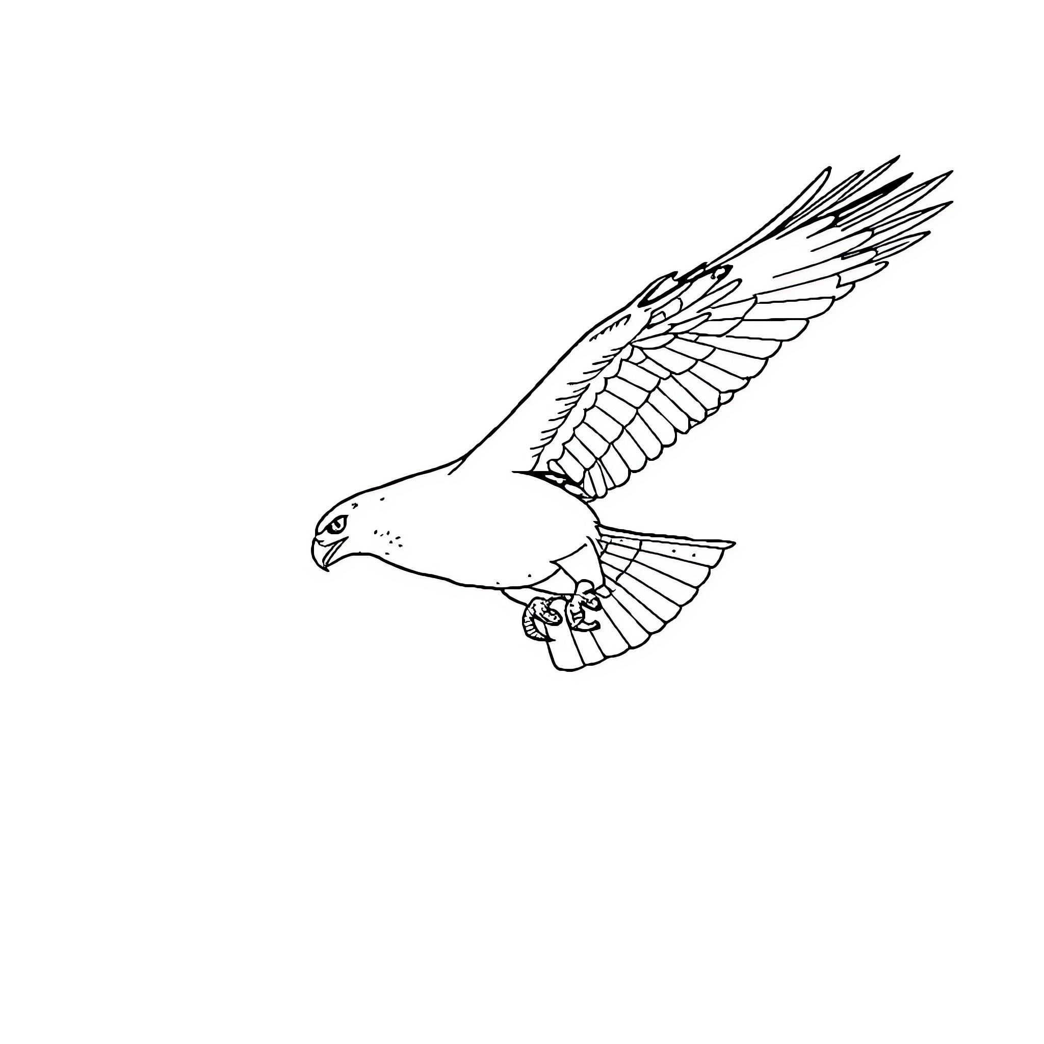Hawk swooping in mid-flight Coloring Page (free black-and-white line drawing printable PDF for all, from beginners to advanced learners, including children, teens, adults, and seniors)