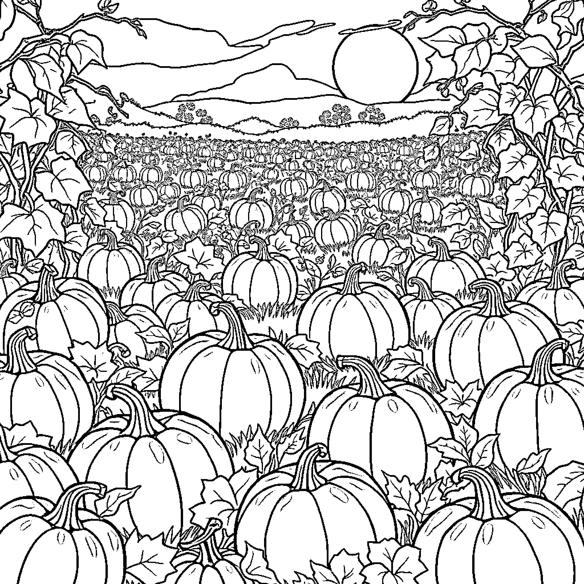 Pumpkin patch in the countryside Coloring Page (free black-and-white line drawing printable PDF for all, from beginners to advanced learners, including children, teens, adults, and seniors)
