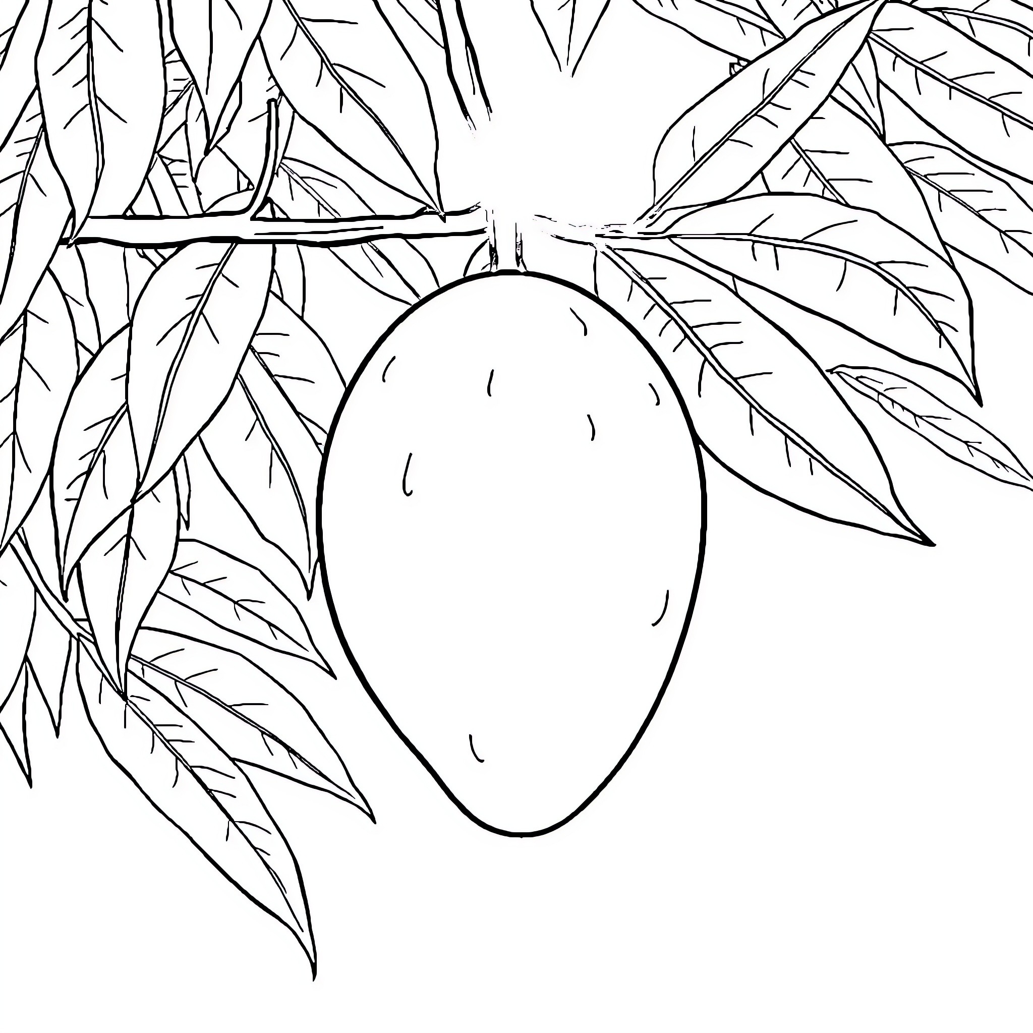 Mango hanging on lush foliage Coloring Page (free black-and-white line drawing printable PDF for all, from beginners to advanced learners, including children, teens, adults, and seniors)