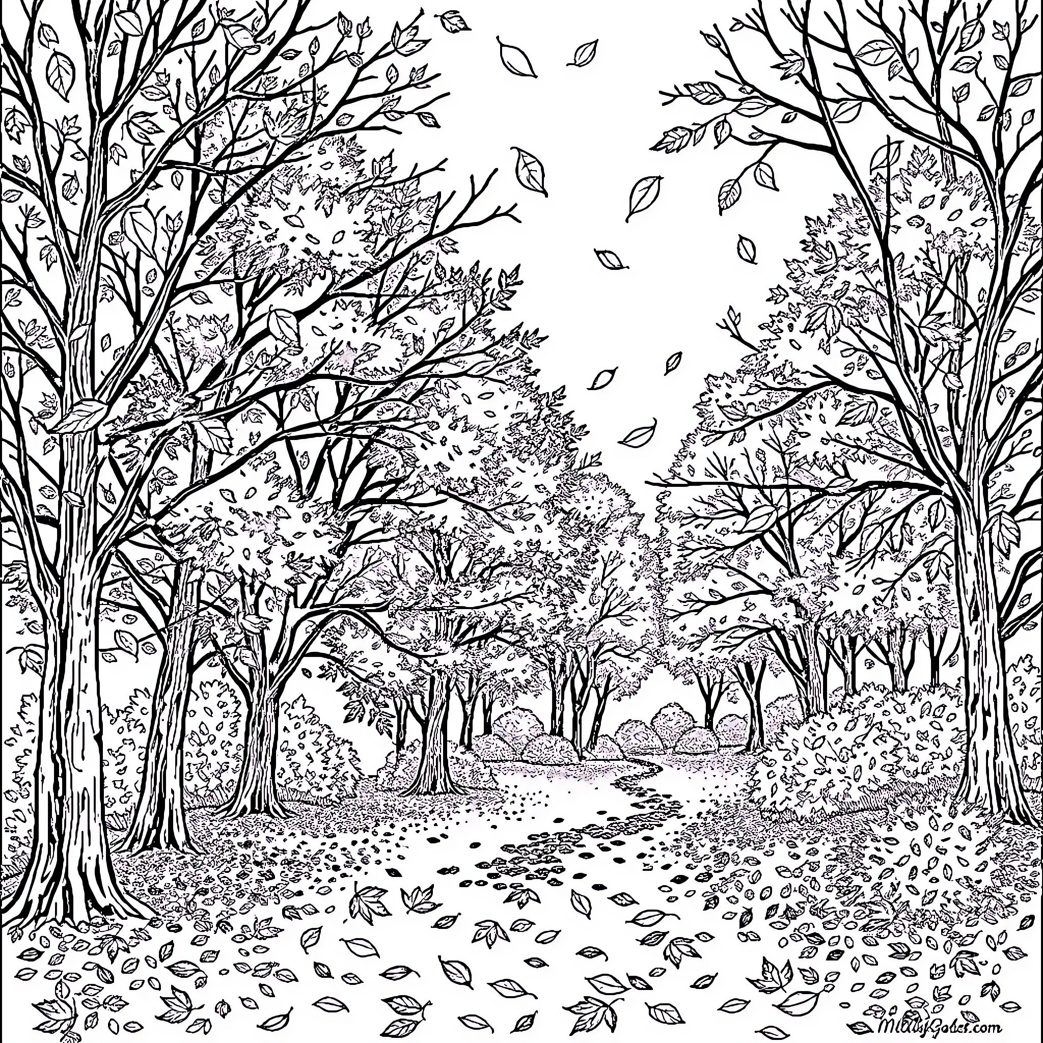 Autumn Woodland Path Blanketed in Fallen Leaves Coloring Page (free black-and-white line drawing printable PDF for all, from beginners to advanced learners, including children, teens, adults, and seniors)