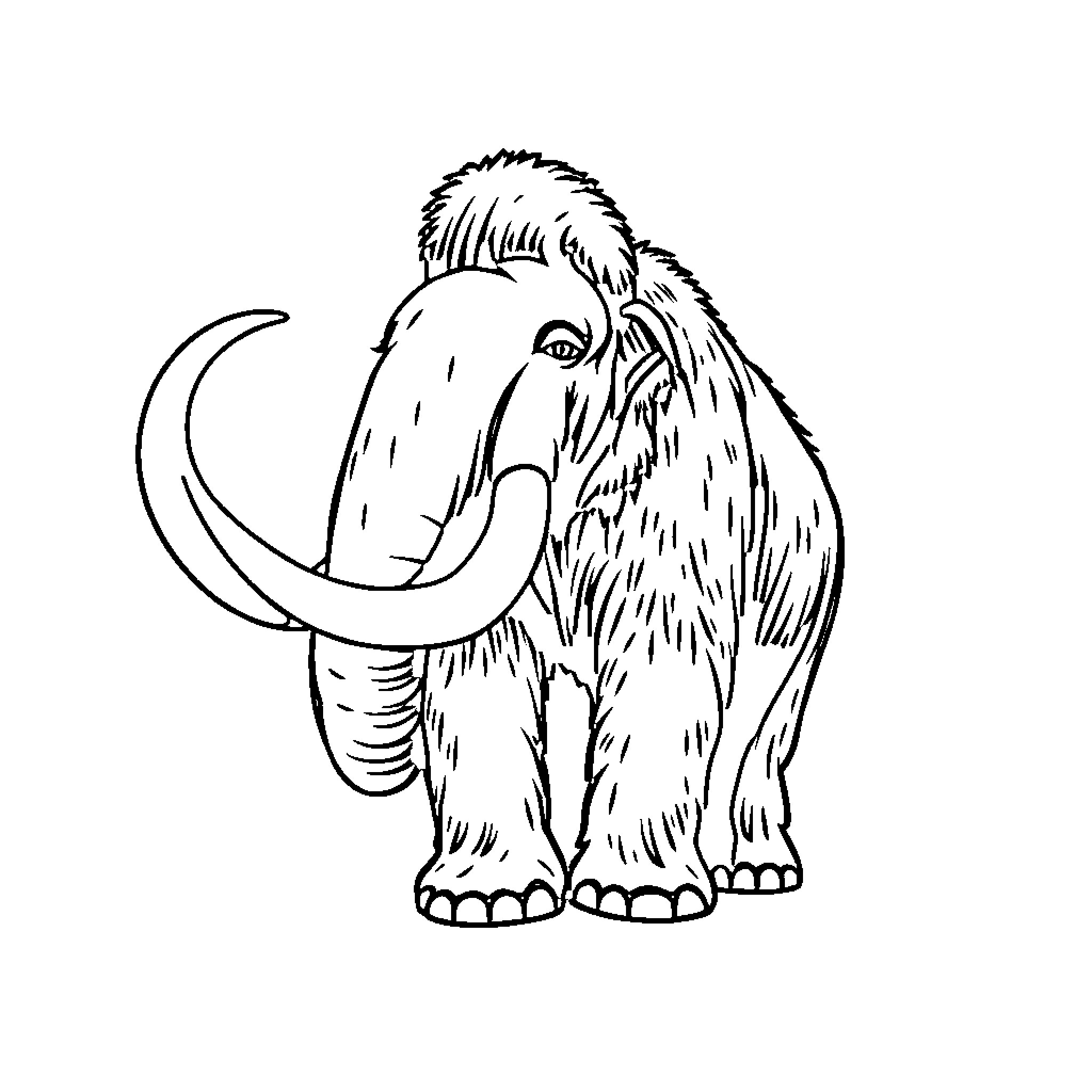 Mammoth with large tusks and shaggy fur Coloring Page (free black-and-white line drawing printable PDF for all, from beginners to advanced learners, including children, teens, adults, and seniors)
