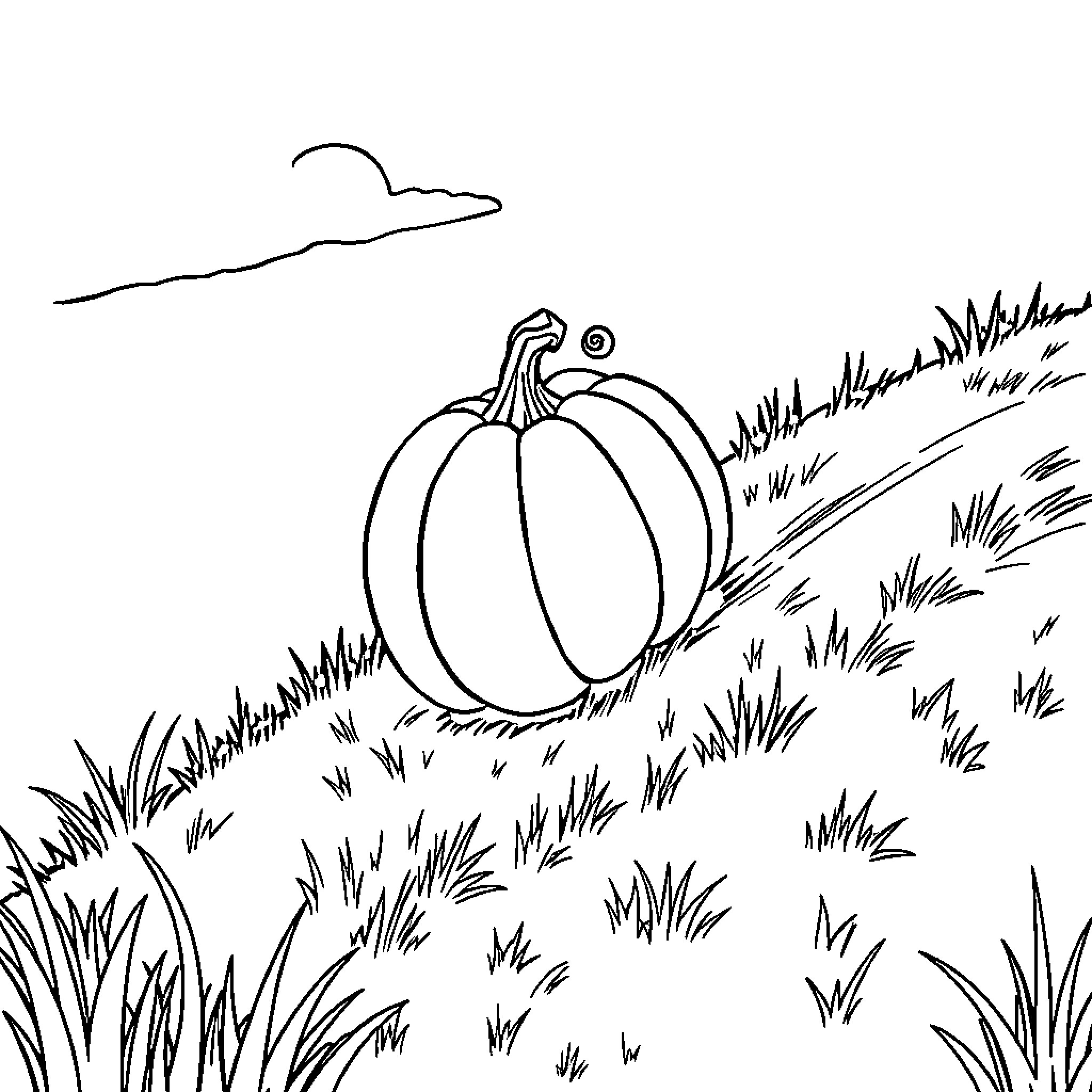 Pumpkin resting on grassy field Coloring Page (free black-and-white line drawing printable PDF for all, from beginners to advanced learners, including children, teens, adults, and seniors)