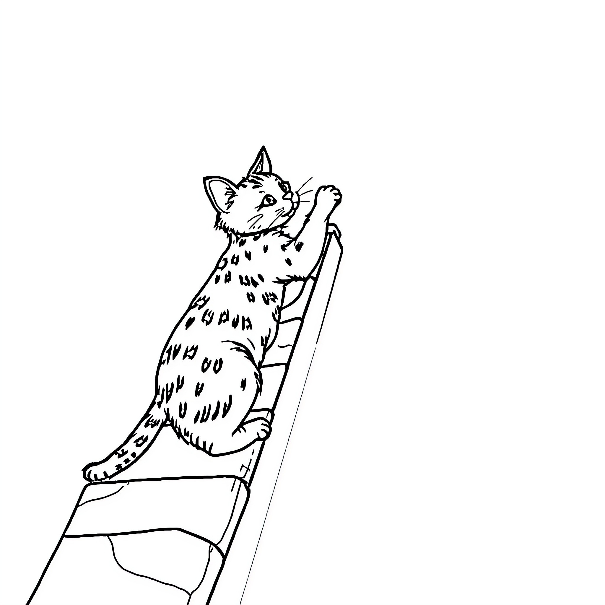 Cat climbing up a ladder Coloring Page (free black-and-white line drawing printable PDF for all, from beginners to advanced learners, including children, teens, adults, and seniors)