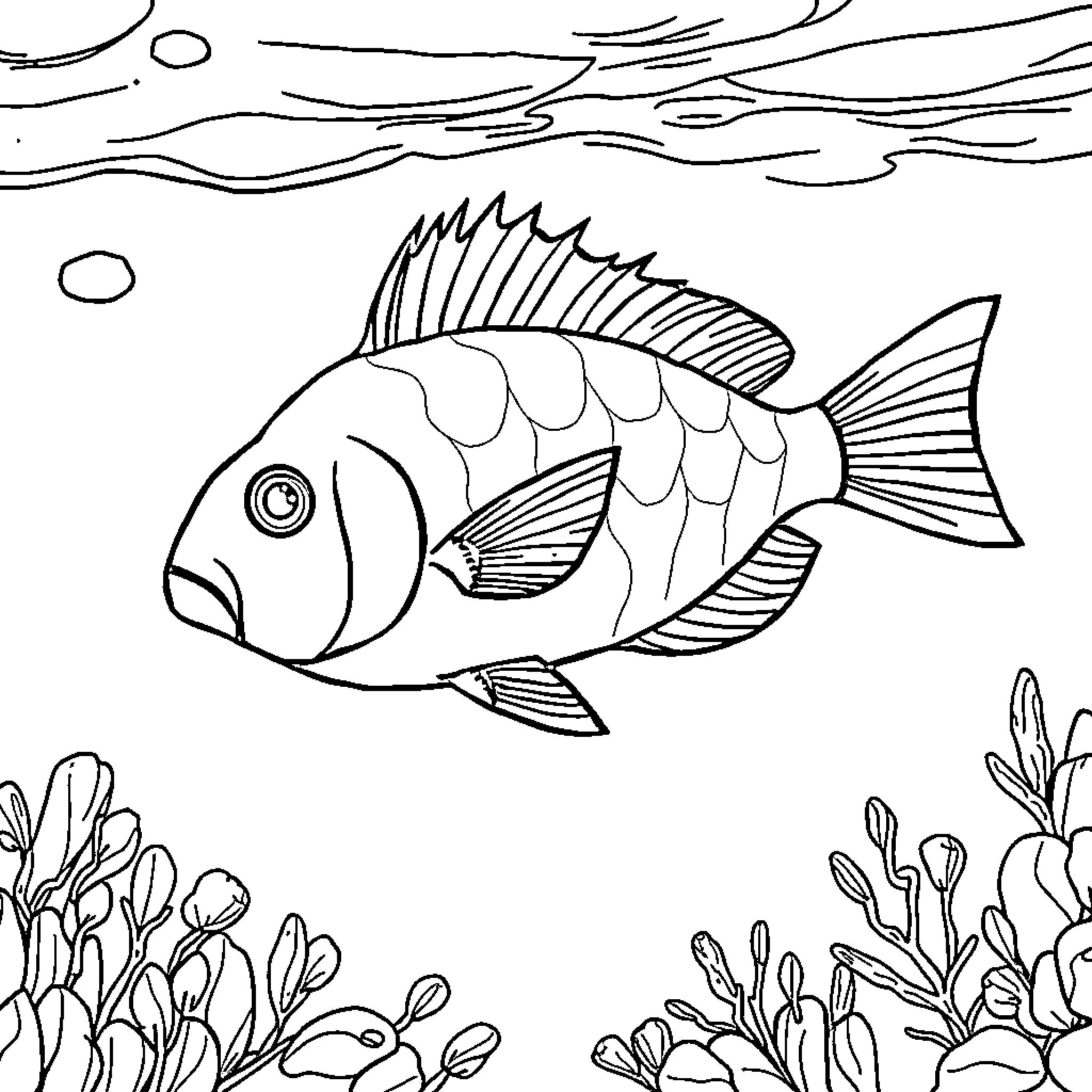 Parrotfish swimming gracefully in the underwater scene Coloring Page (free black-and-white line drawing printable PDF for all, from beginners to advanced learners, including children, teens, adults, and seniors)