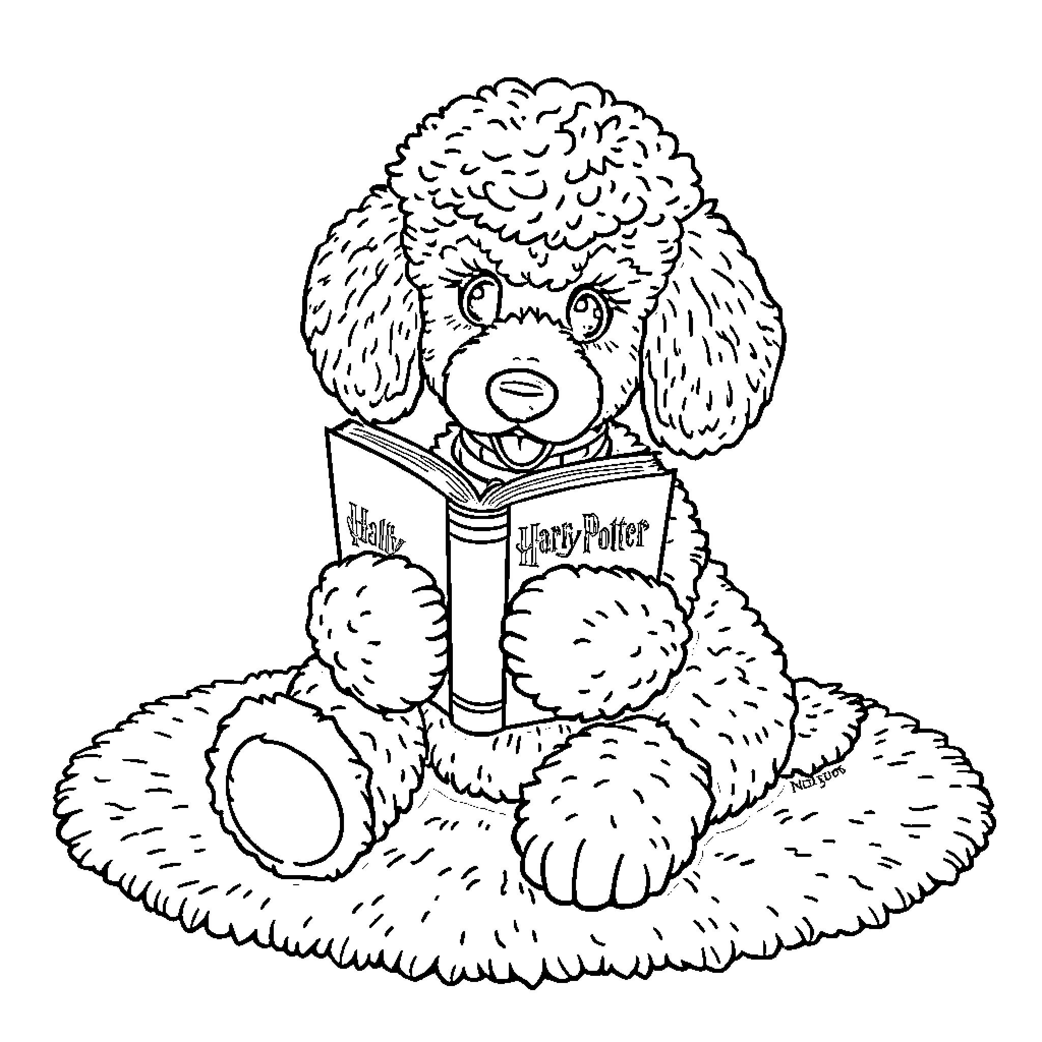 Poodle reading a Harry Potter book Coloring Page (free black-and-white line drawing printable PDF for all, from beginners to advanced learners, including children, teens, adults, and seniors)