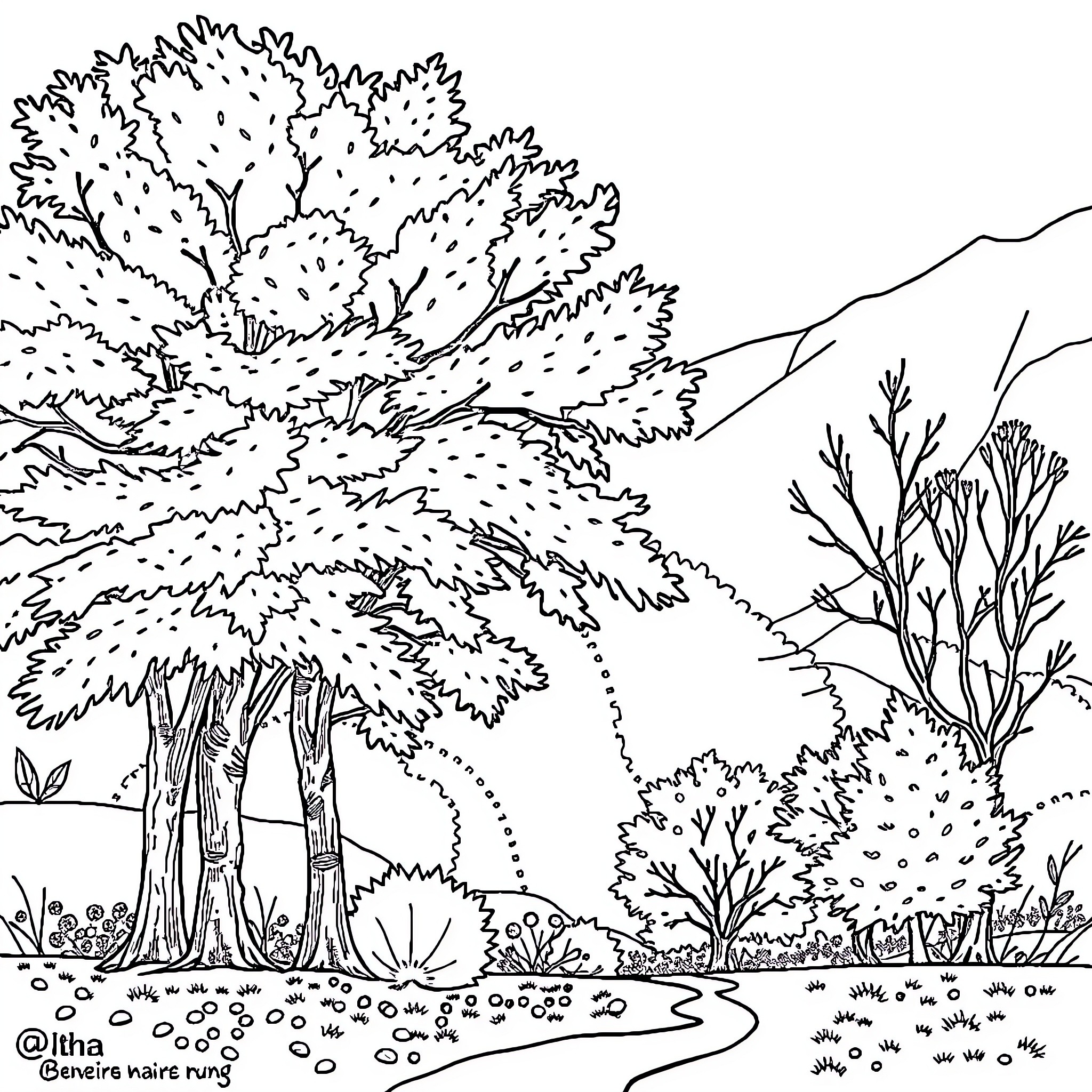 Fall foliage scenery with winding path Coloring Page (free black-and-white line drawing printable PDF for all, from beginners to advanced learners, including children, teens, adults, and seniors)