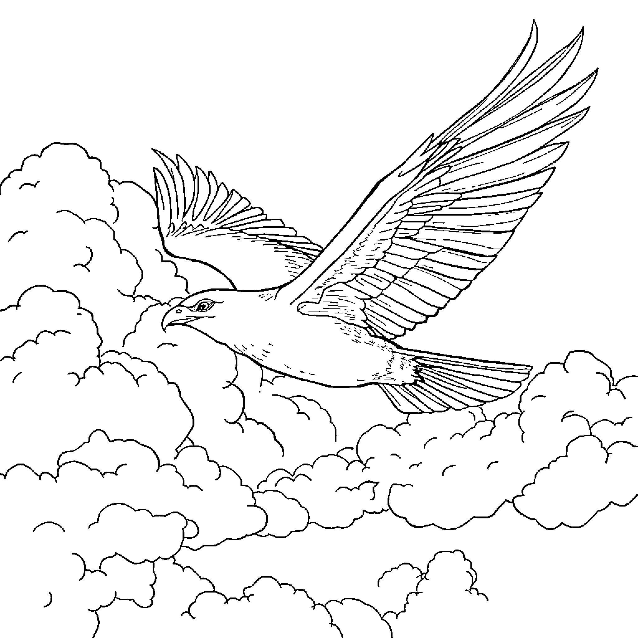 Scar of Majestic Eagle Soaring through Clouds Coloring Page (free black-and-white line drawing printable PDF for all, from beginners to advanced learners, including children, teens, adults, and seniors)