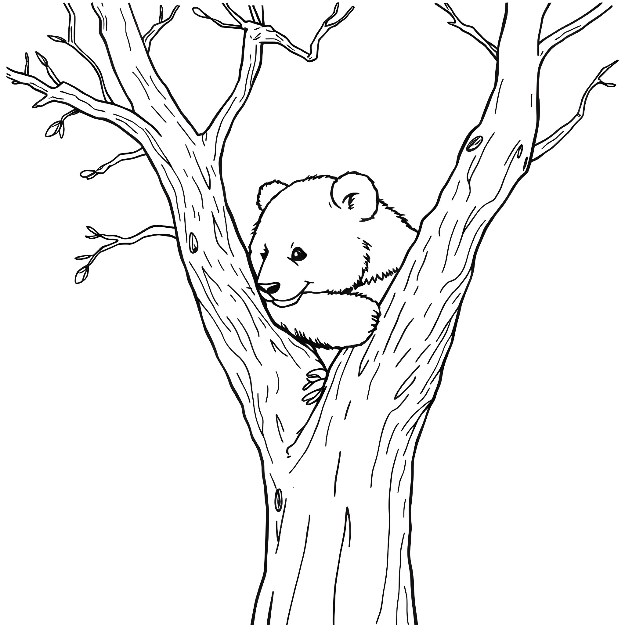 Panda hiding in the tree branches Coloring Page (free black-and-white line drawing printable PDF for all, from beginners to advanced learners, including children, teens, adults, and seniors)