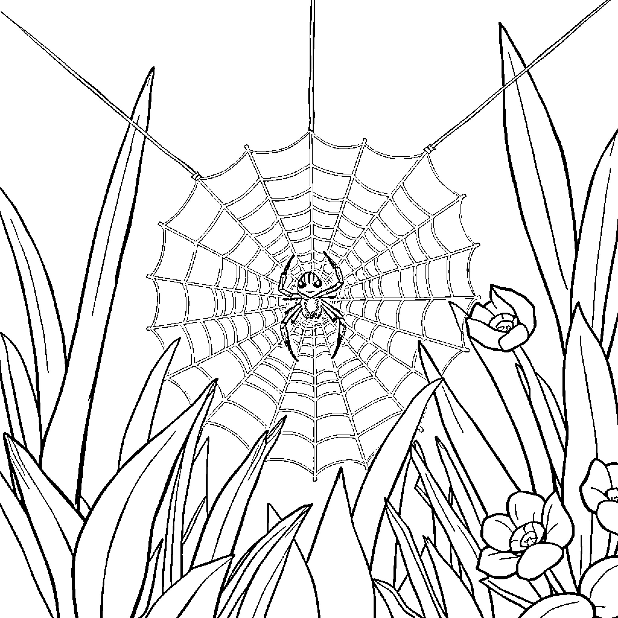 Spider weaving intricate web amidst floral landscape Coloring Page (free black-and-white line drawing printable PDF for all, from beginners to advanced learners, including children, teens, adults, and seniors)