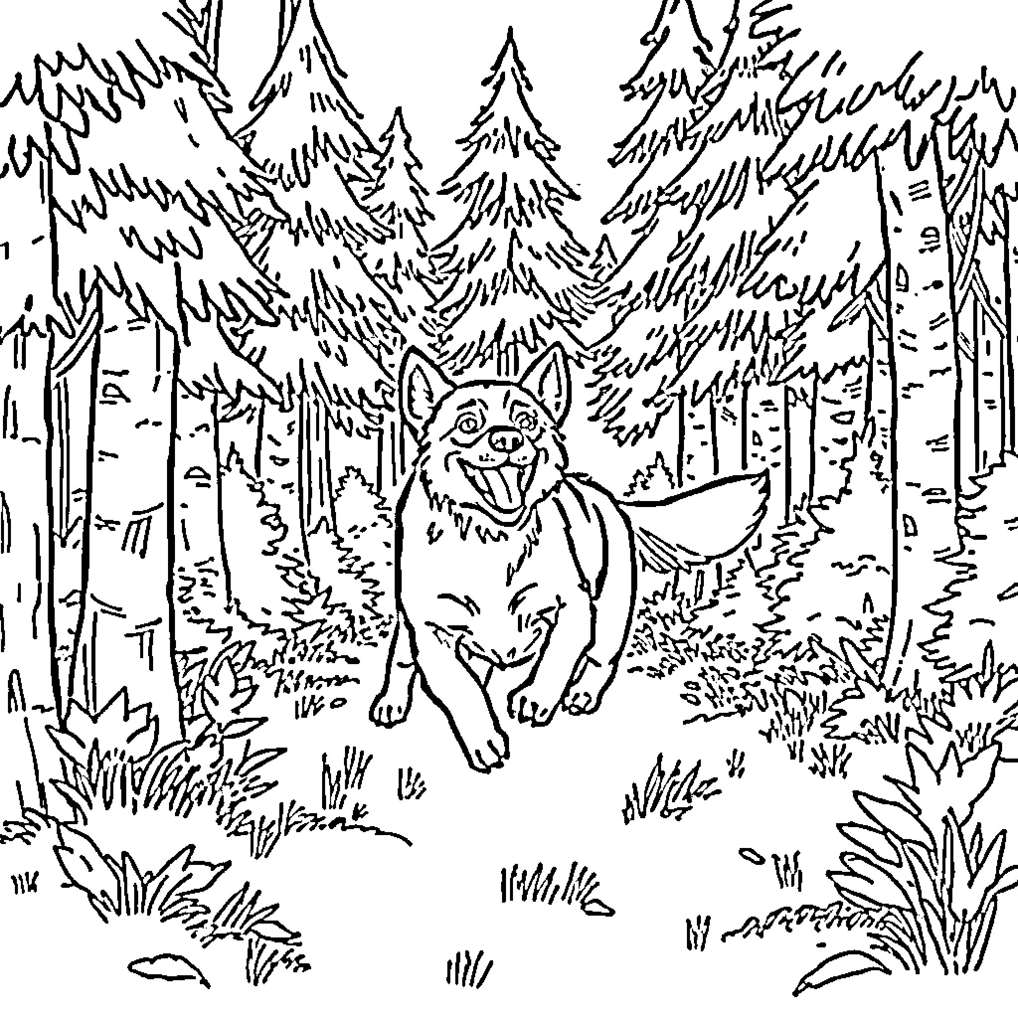 Dog running playfully through forest scene Coloring Page (free black-and-white line drawing printable PDF for all, from beginners to advanced learners, including children, teens, adults, and seniors)