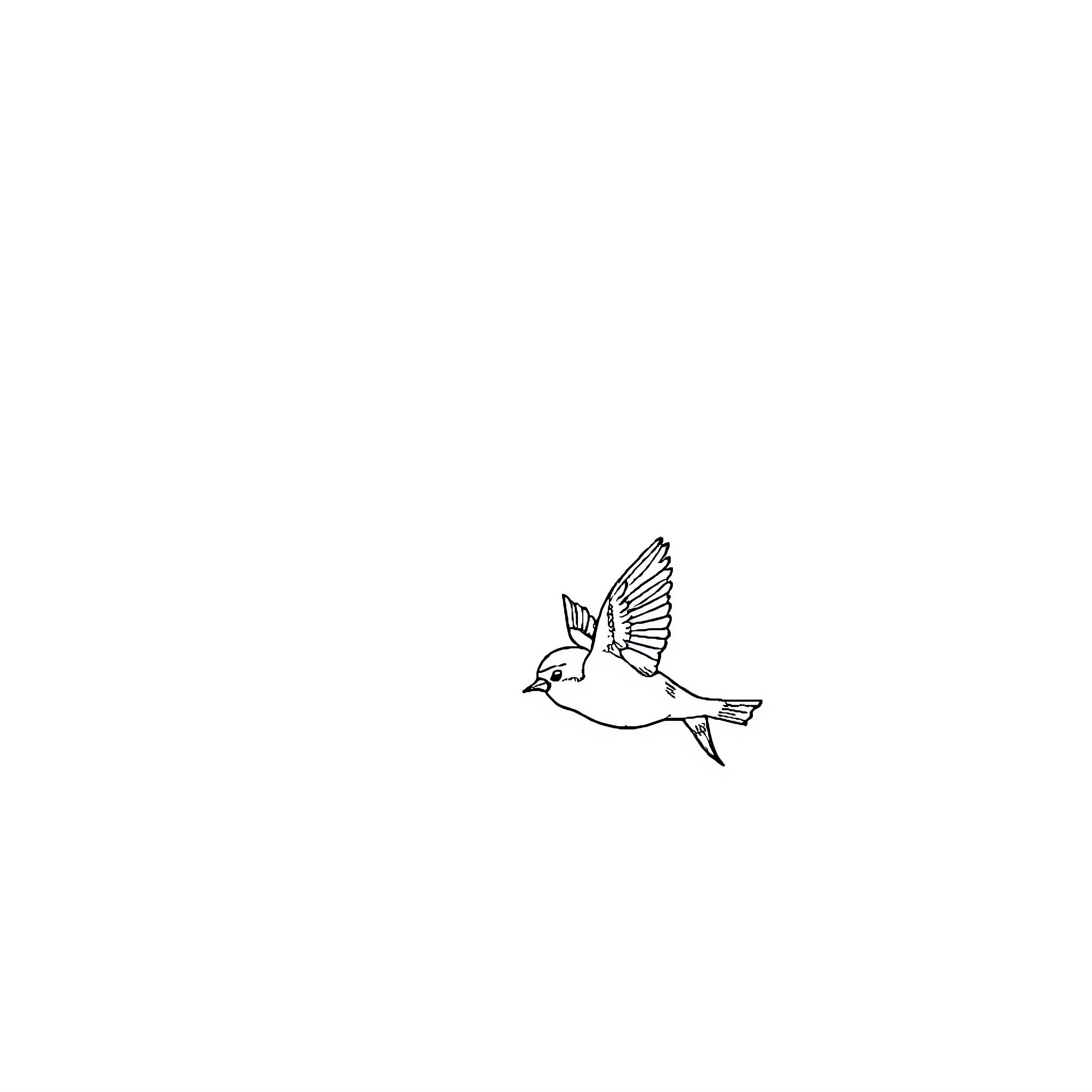 Bird flying gracefully in the air Coloring Page (free black-and-white line drawing printable PDF for all, from beginners to advanced learners, including children, teens, adults, and seniors)