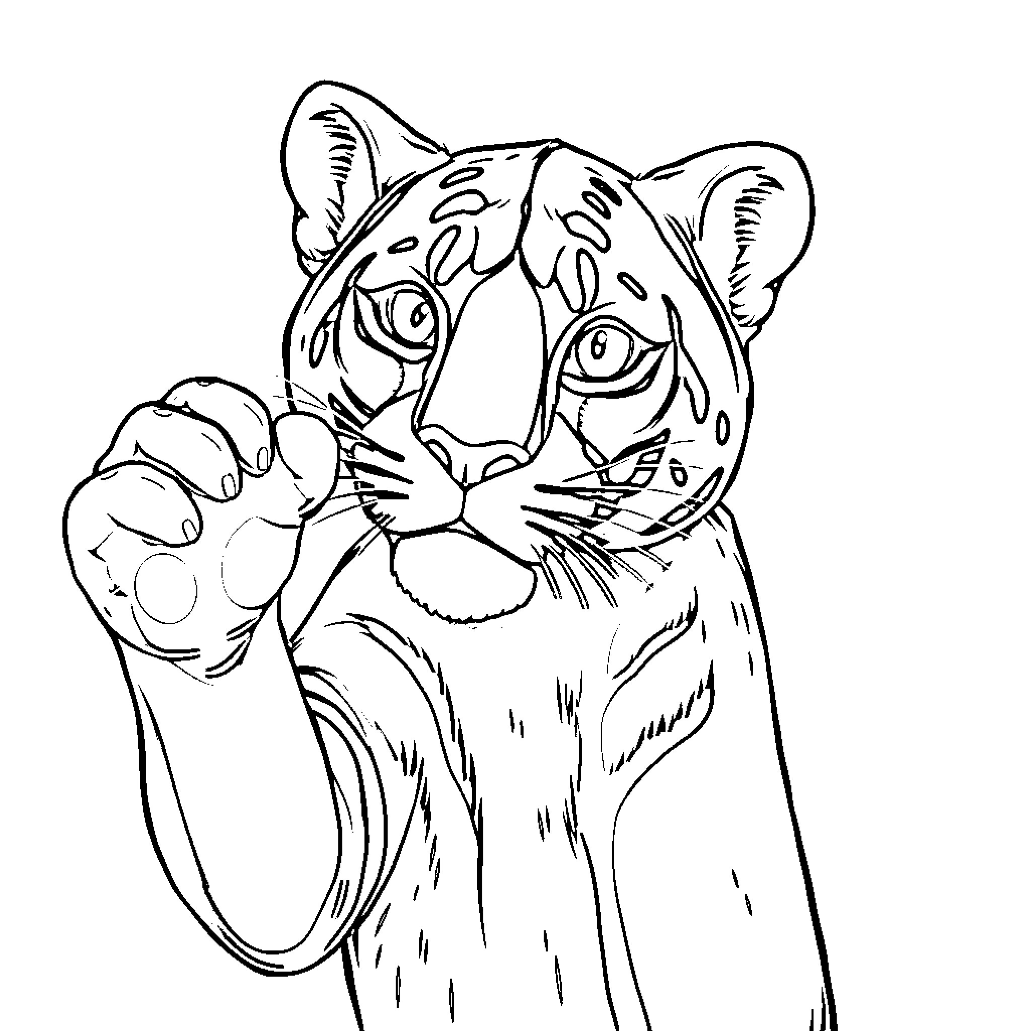 Panther Ready to Pounce Coloring Page (free black-and-white line drawing printable PDF for all, from beginners to advanced learners, including children, teens, adults, and seniors)