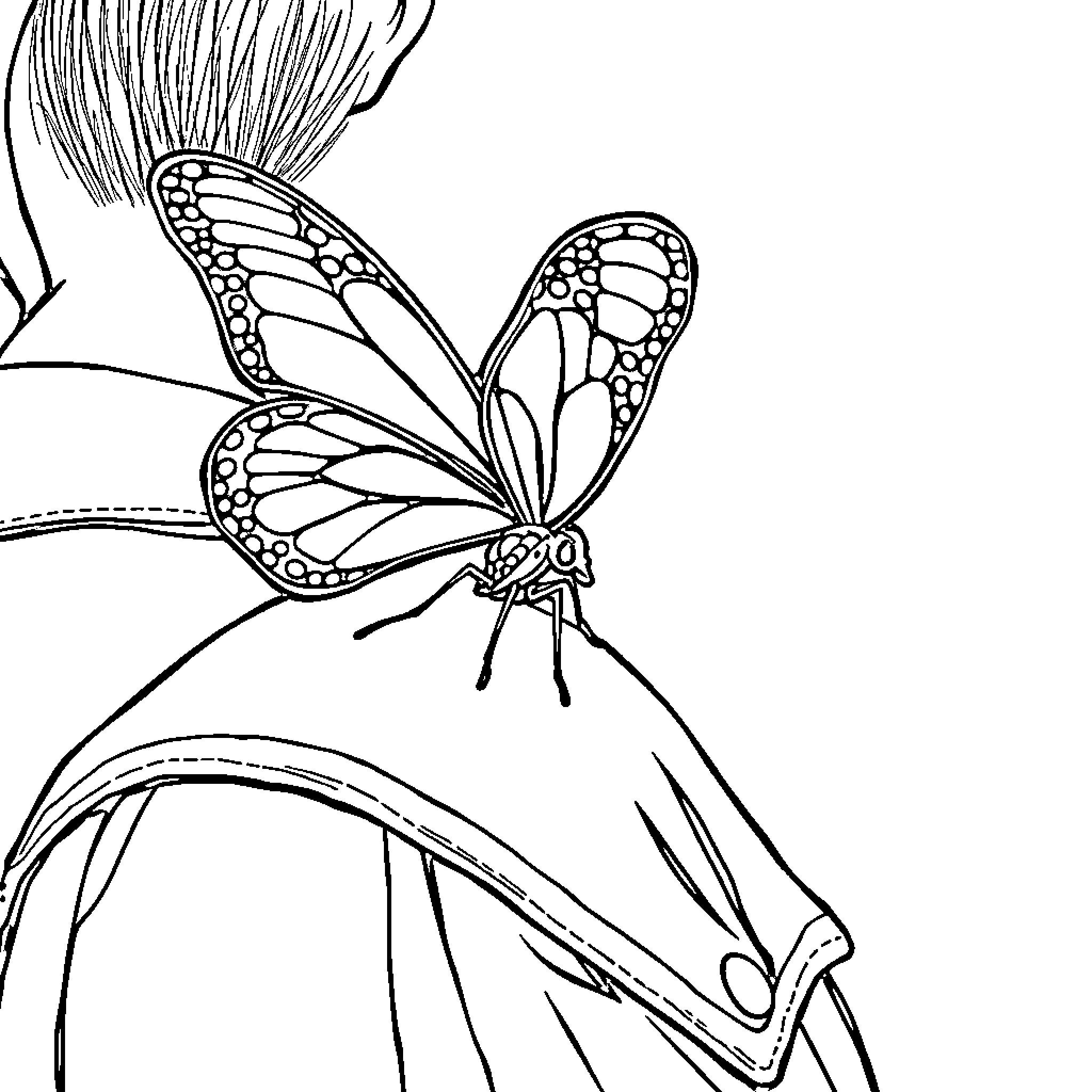 Butterfly resting on intricate leaf structure Coloring Page (free black-and-white line drawing printable PDF for all, from beginners to advanced learners, including children, teens, adults, and seniors)