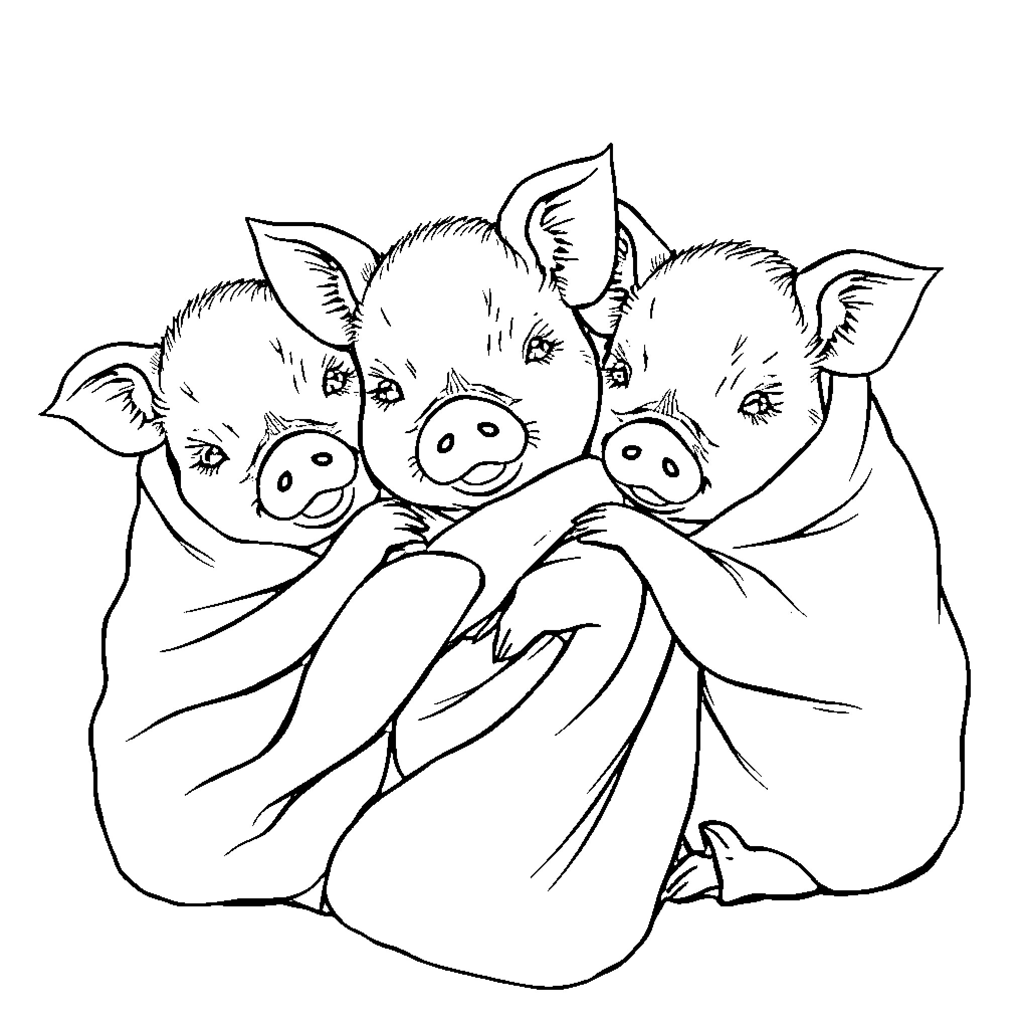 Pig Trio Cuddling Together in Blanket Coloring Page (free black-and-white line drawing printable PDF for all, from beginners to advanced learners, including children, teens, adults, and seniors)