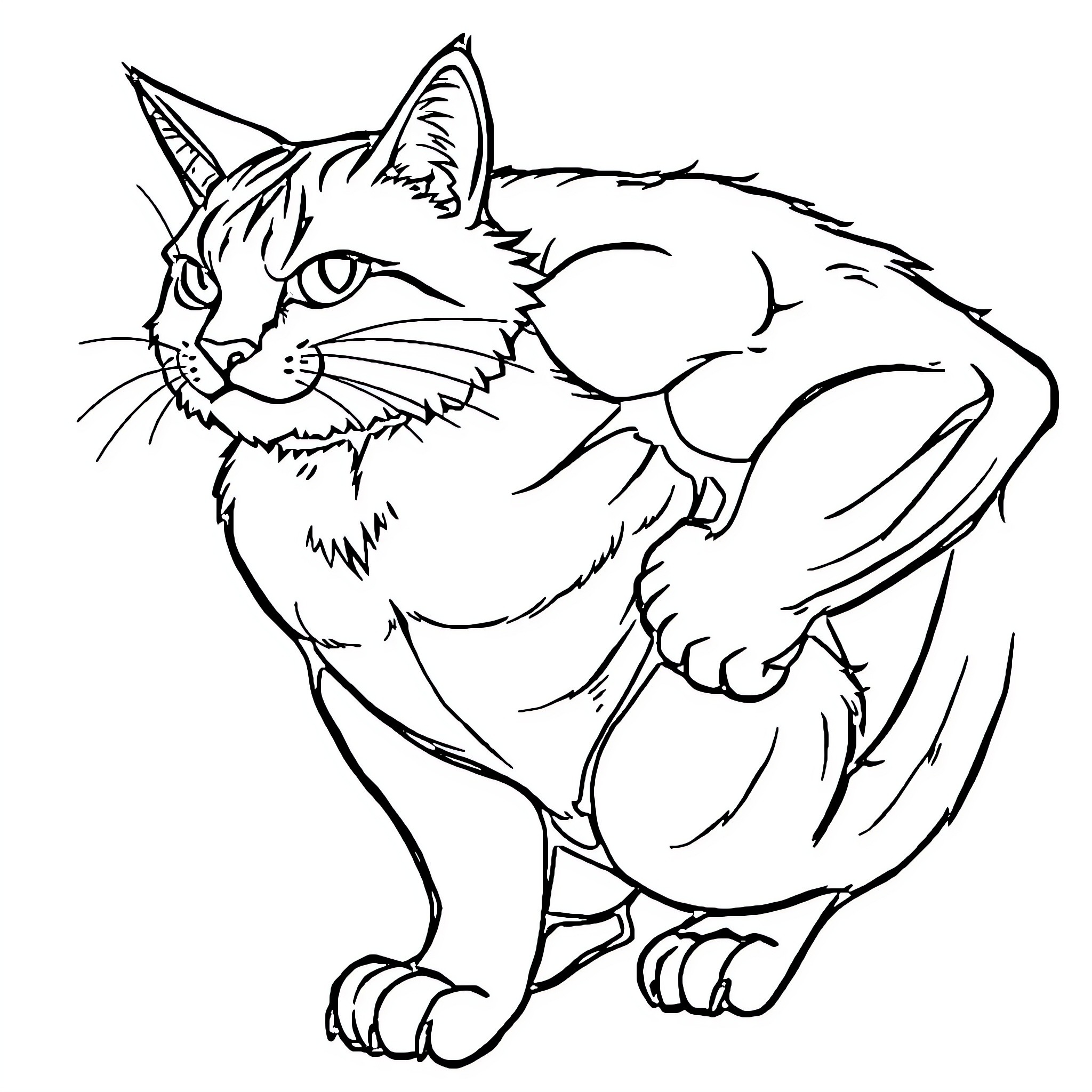 Felix the Feline Feisty Friend Coloring Page (free black-and-white line drawing printable PDF for all, from beginners to advanced learners, including children, teens, adults, and seniors)