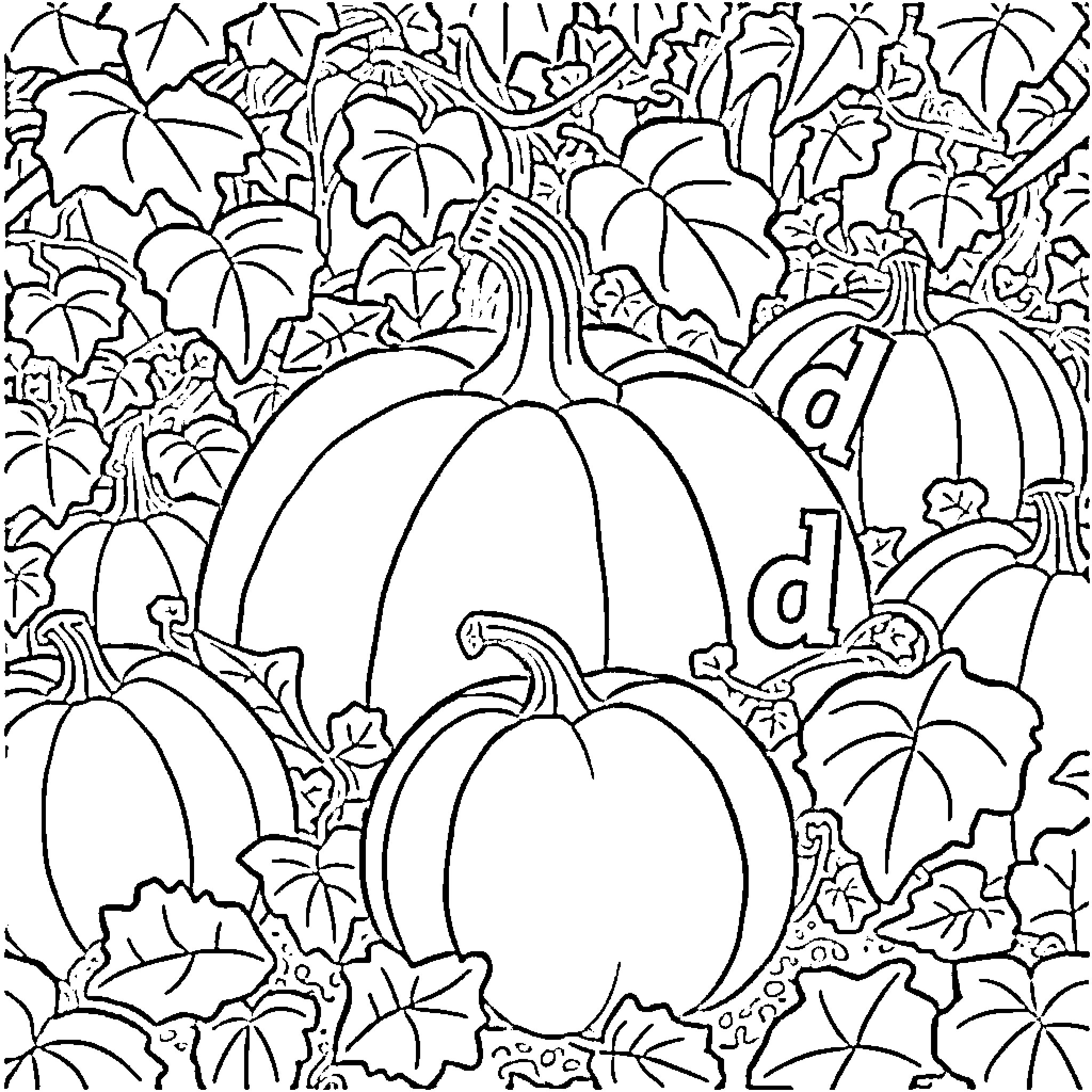 Pumpkin patch with various shapes and patterns Coloring Page (free black-and-white line drawing printable PDF for all, from beginners to advanced learners, including children, teens, adults, and seniors)