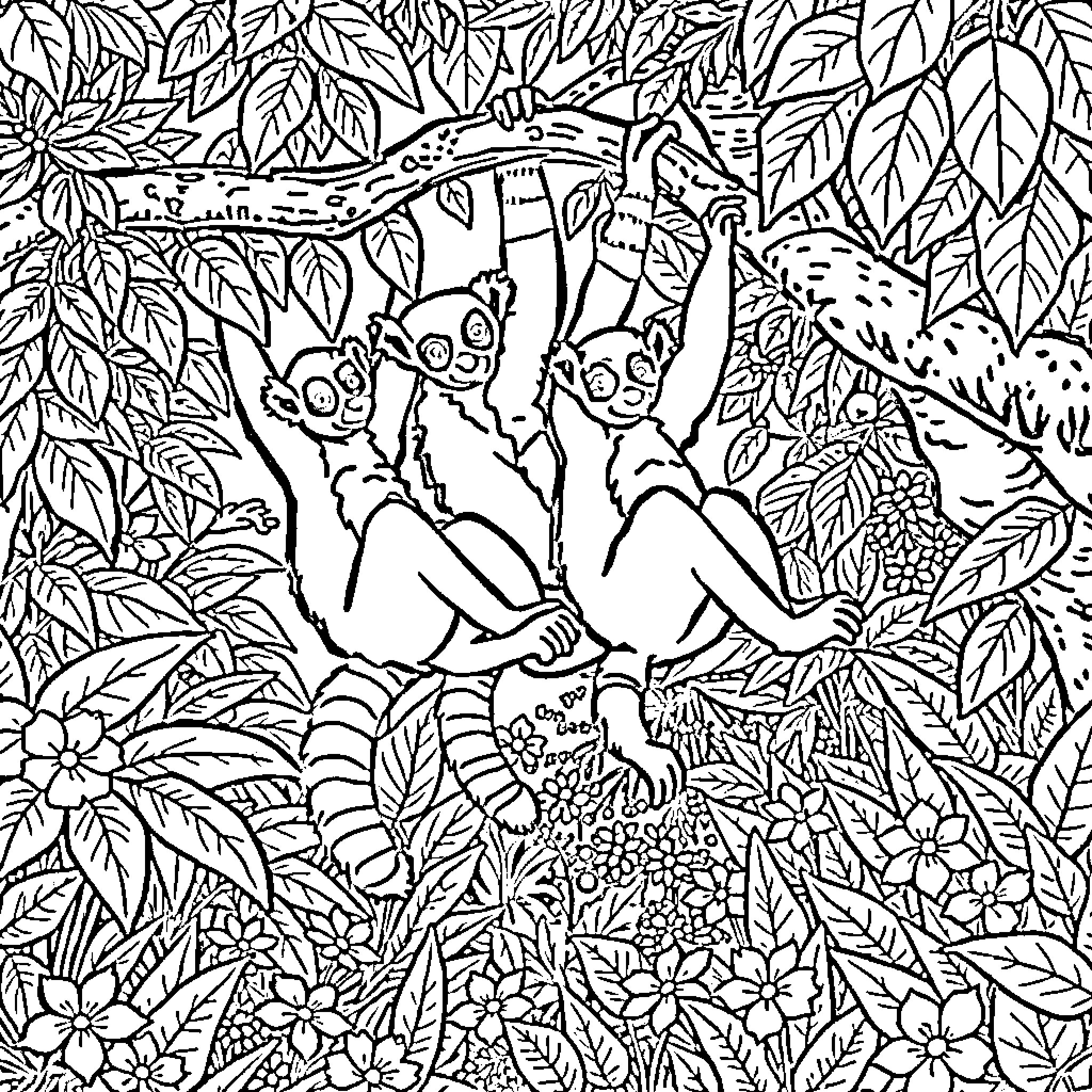 Lemurs playing together in the lush foliage Coloring Page (free black-and-white line drawing printable PDF for all, from beginners to advanced learners, including children, teens, adults, and seniors)