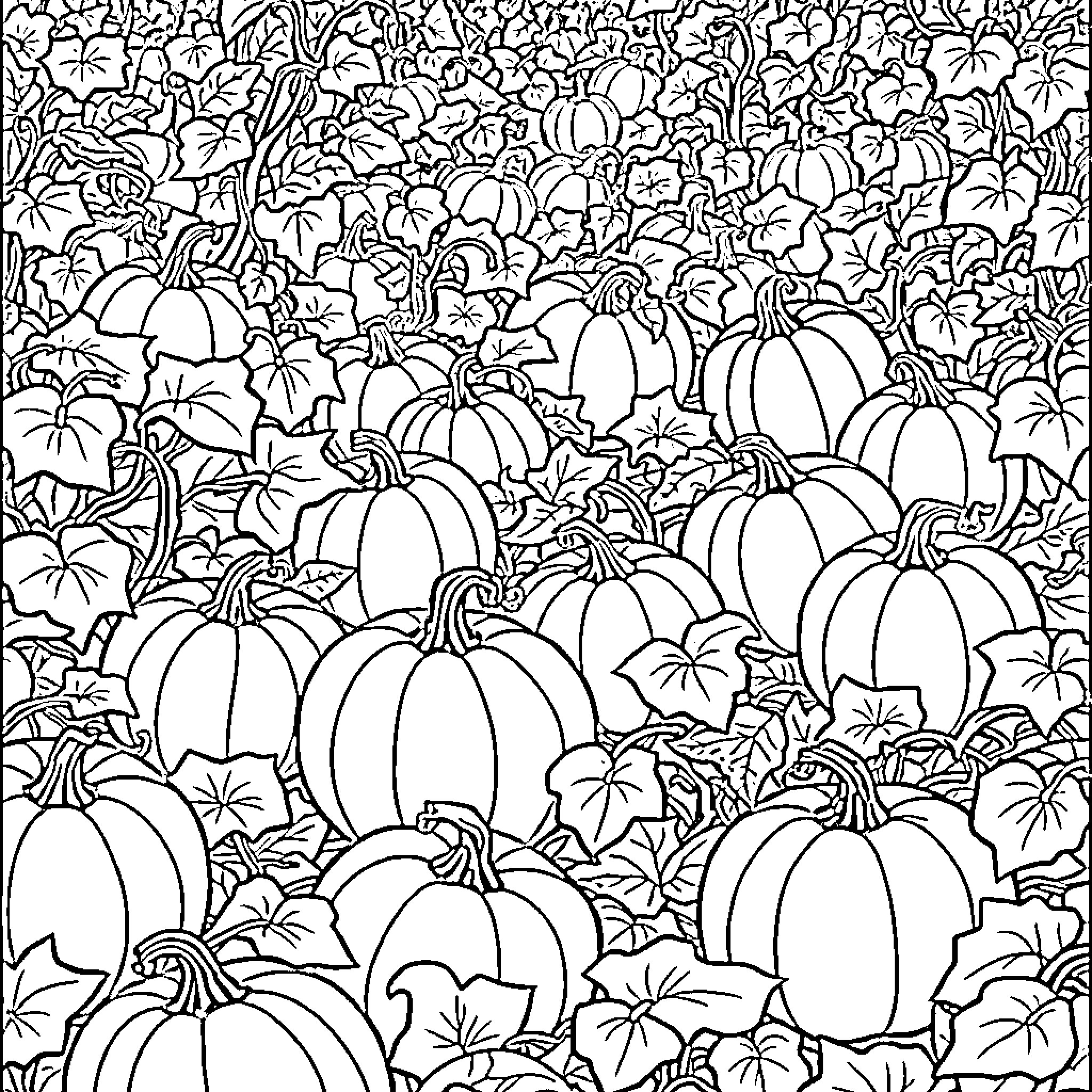Pumpkin Patch Abundance Coloring Page (free black-and-white line drawing printable PDF for all, from beginners to advanced learners, including children, teens, adults, and seniors)