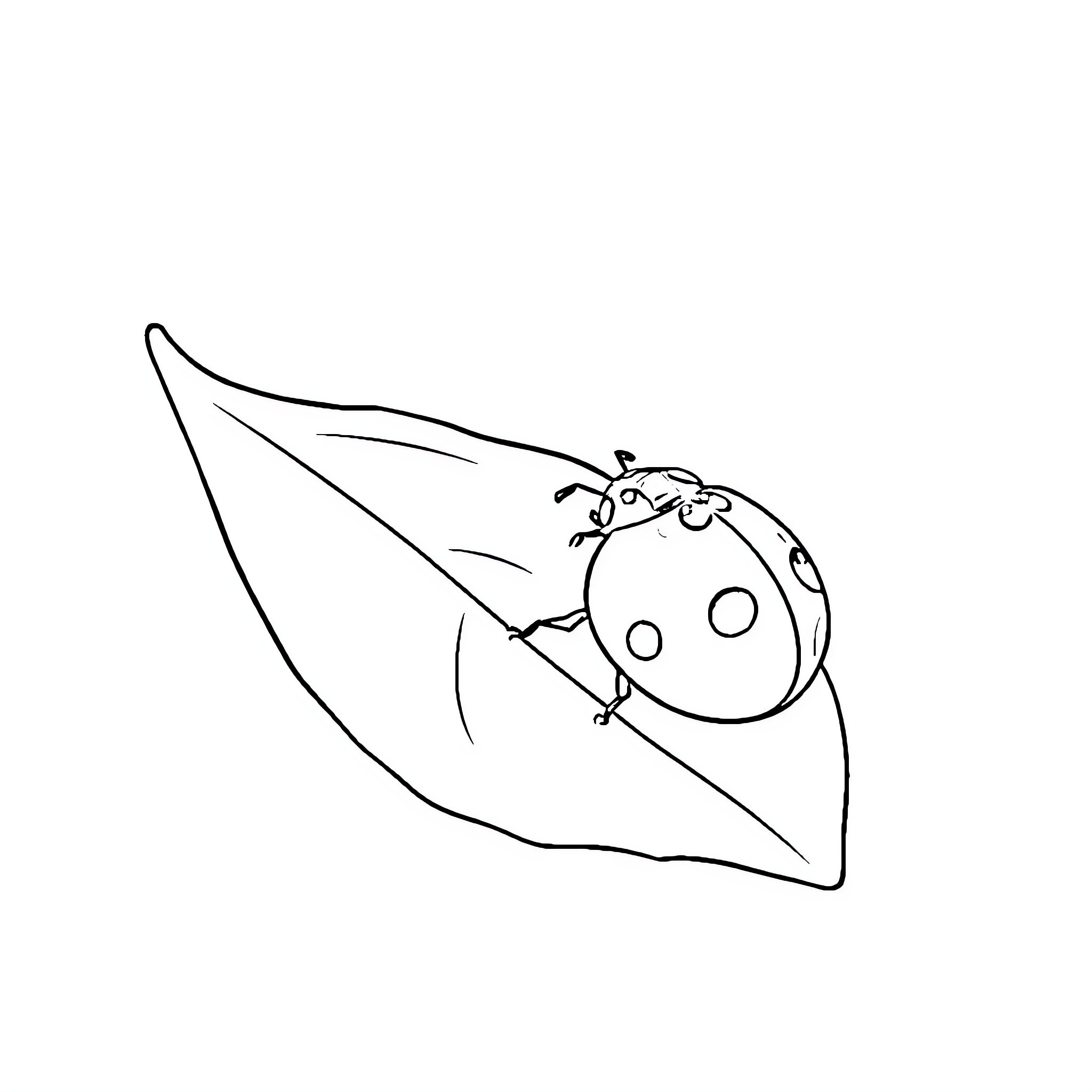 Ladybug resting on a leaf Coloring Page (free black-and-white line drawing printable PDF for all, from beginners to advanced learners, including children, teens, adults, and seniors)