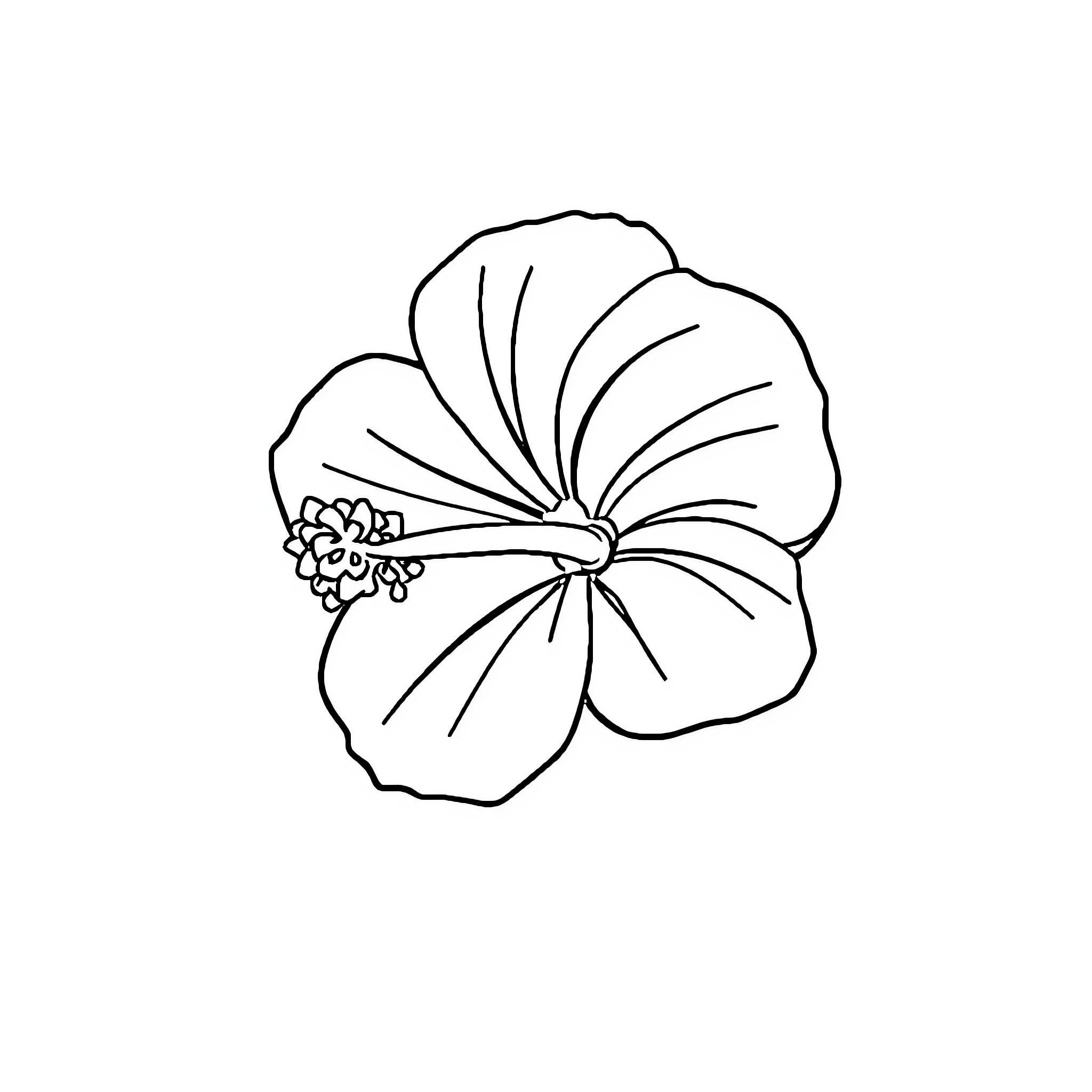 Hibiscus flower in black and white outline Coloring Page (free black-and-white line drawing printable PDF for all, from beginners to advanced learners, including children, teens, adults, and seniors)
