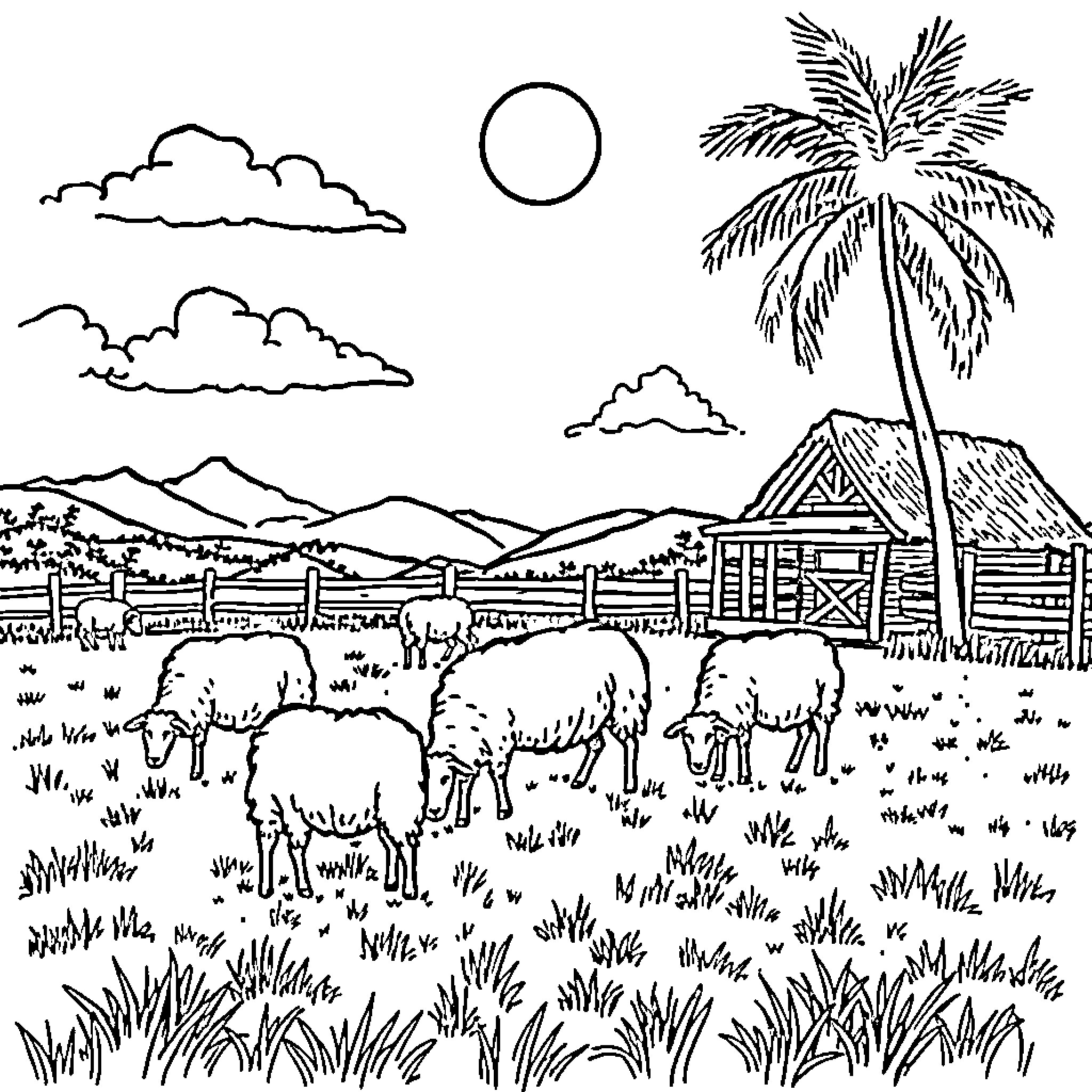 Sheep grazing peacefully in rural countryside Coloring Page (free black-and-white line drawing printable PDF for all, from beginners to advanced learners, including children, teens, adults, and seniors)