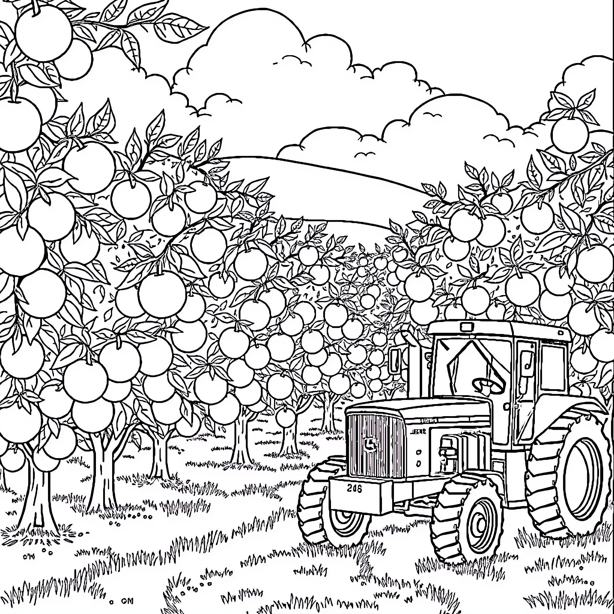 Tangerine Orchard Adventure Coloring Page (free black-and-white line drawing printable PDF for all, from beginners to advanced learners, including children, teens, adults, and seniors)