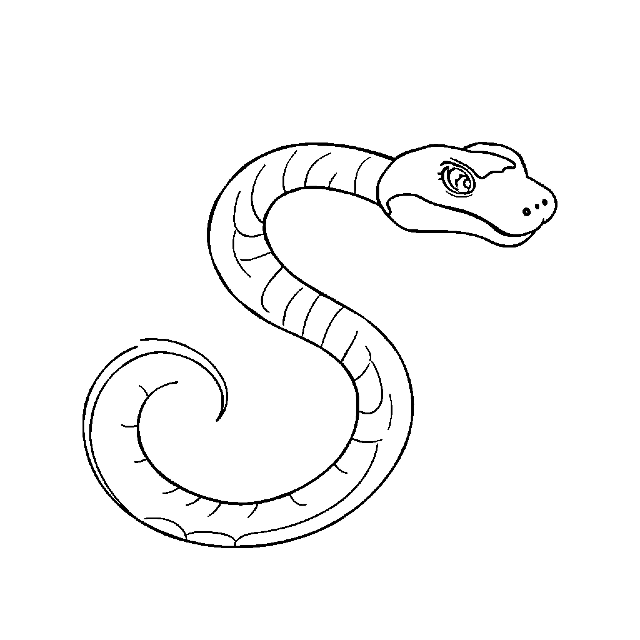 Slithering snake slyly slinking Coloring Page (free black-and-white line drawing printable PDF for all, from beginners to advanced learners, including children, teens, adults, and seniors)