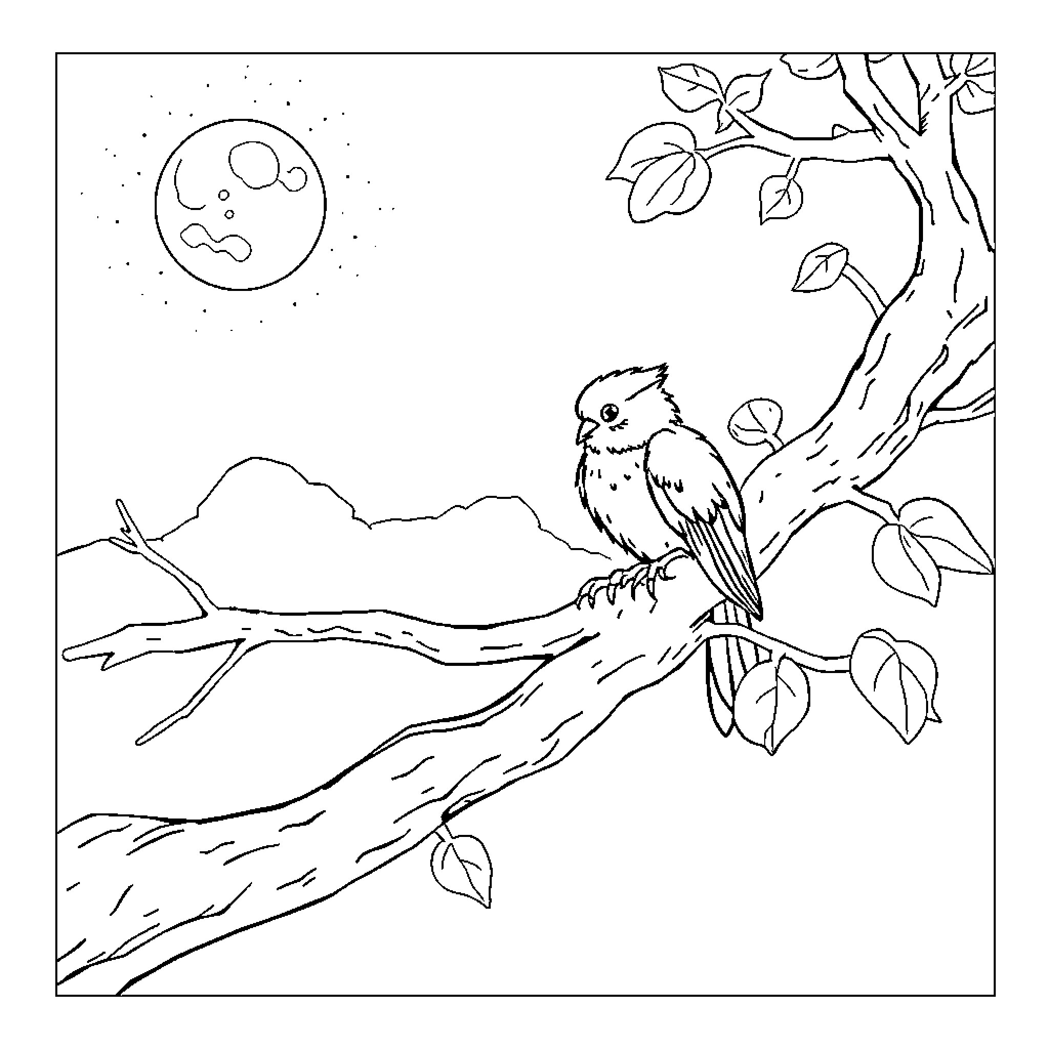 Owl perched on a branch under the moonlight Coloring Page (free black-and-white line drawing printable PDF for all, from beginners to advanced learners, including children, teens, adults, and seniors)