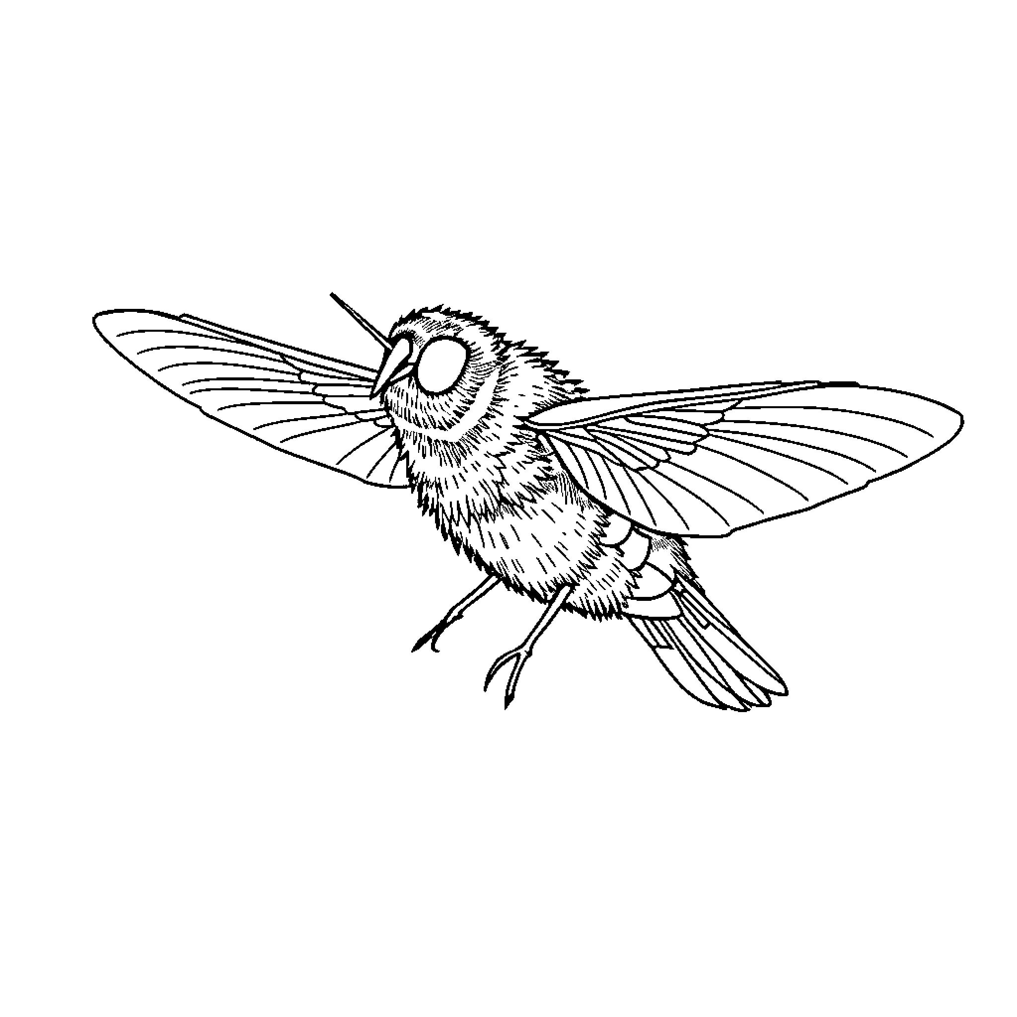 Unicorn hummingbird in flight Coloring Page (free black-and-white line drawing printable PDF for all, from beginners to advanced learners, including children, teens, adults, and seniors)
